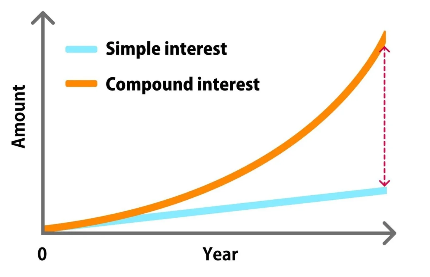 Compound Interest Explained: The Secret to Long Term Wealth