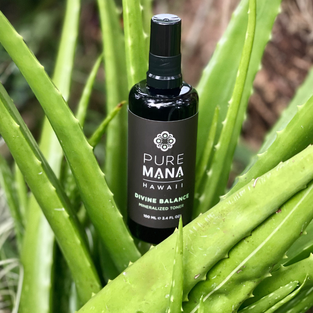 The Beauty Barn Pure Mana Hawaii  (54).png