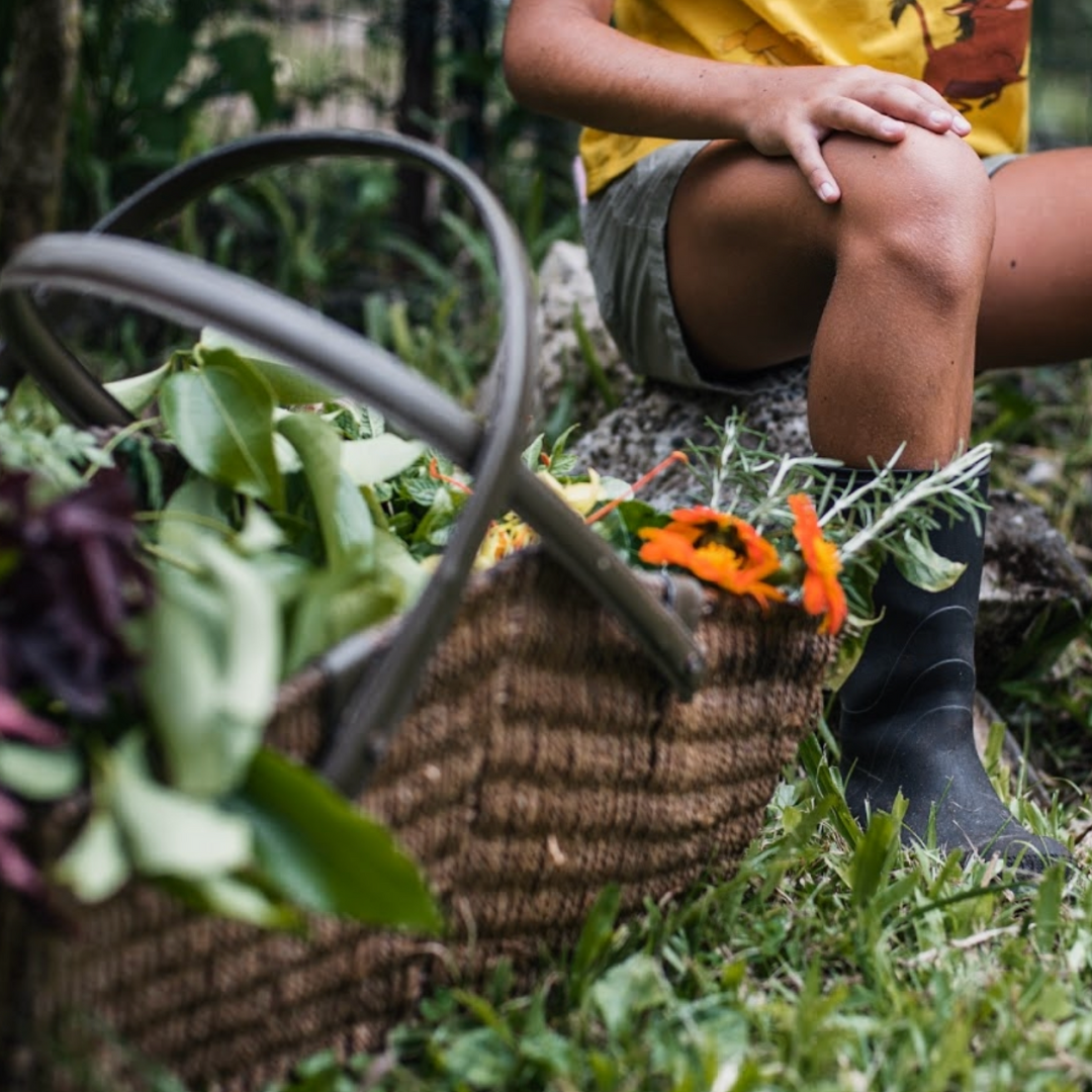 The Beauty Barn Pure Mana Hawaii  (78).png