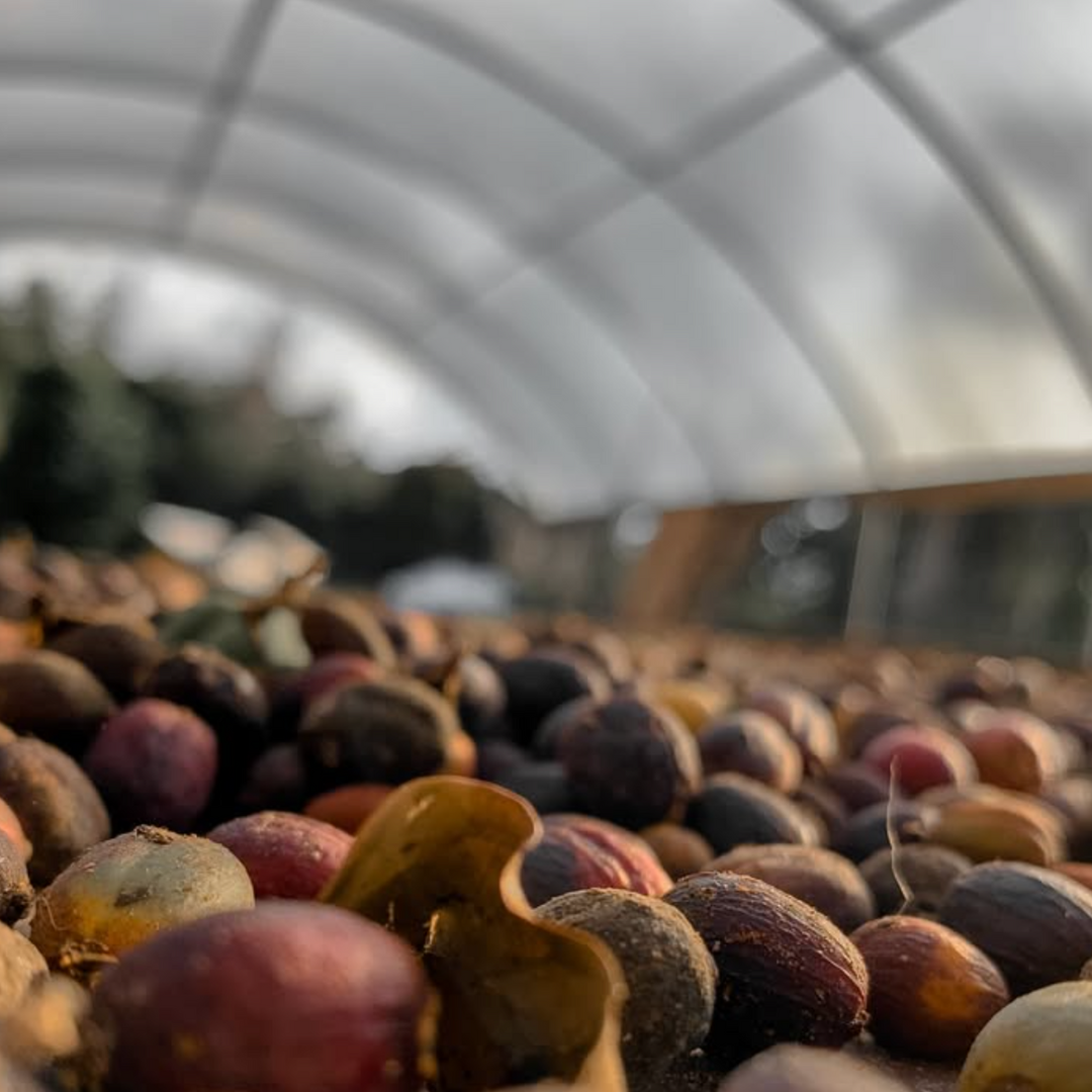 The Beauty Barn Pure Mana Hawaii  (79).png