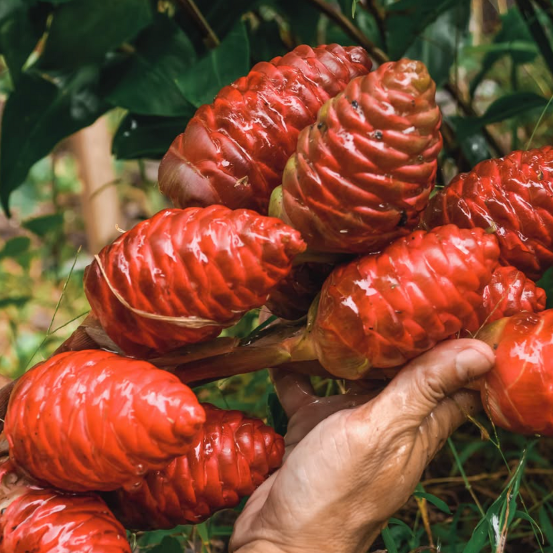 The Beauty Barn Pure Mana Hawaii  (80).png