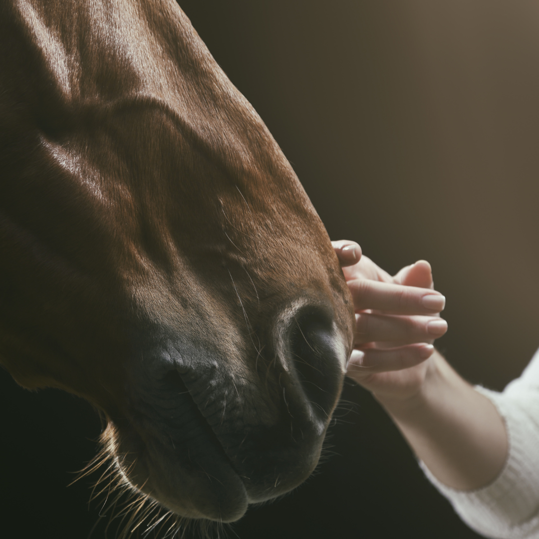 The Beauty Barn Pure Mana Hawaii  (97).png