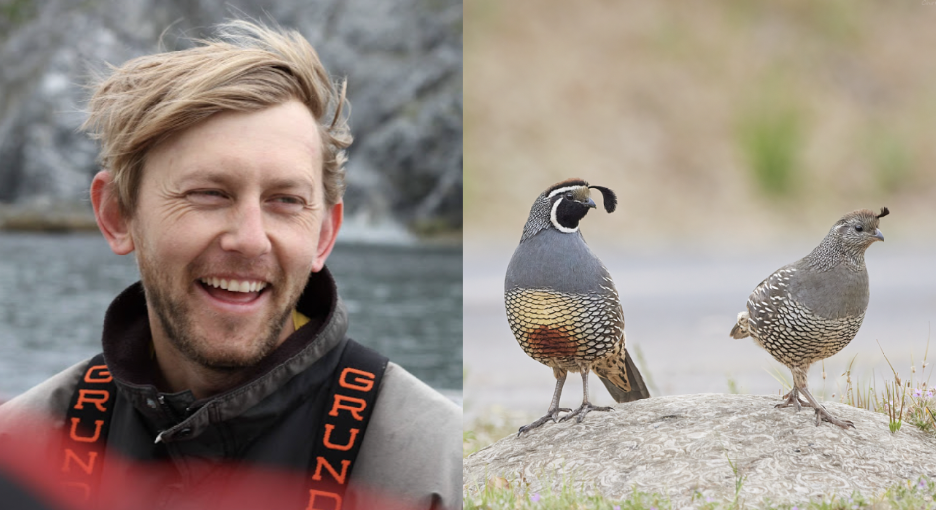 Santa Clara Valley Bird Alliance Speaker Series: Van Pierszalowski