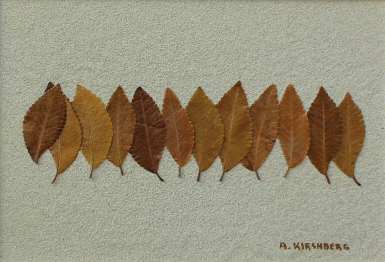Leaf 5573 - Autumn Elm -  10-21-2025 (2).JPG