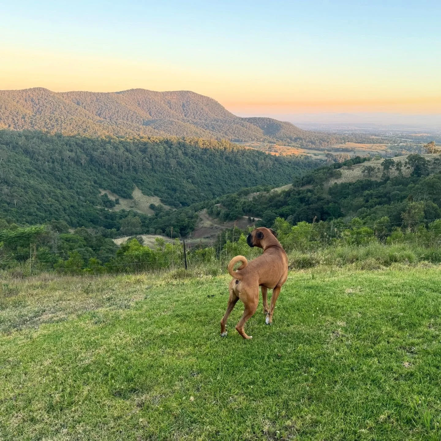 Room to roam. Space to breathe.