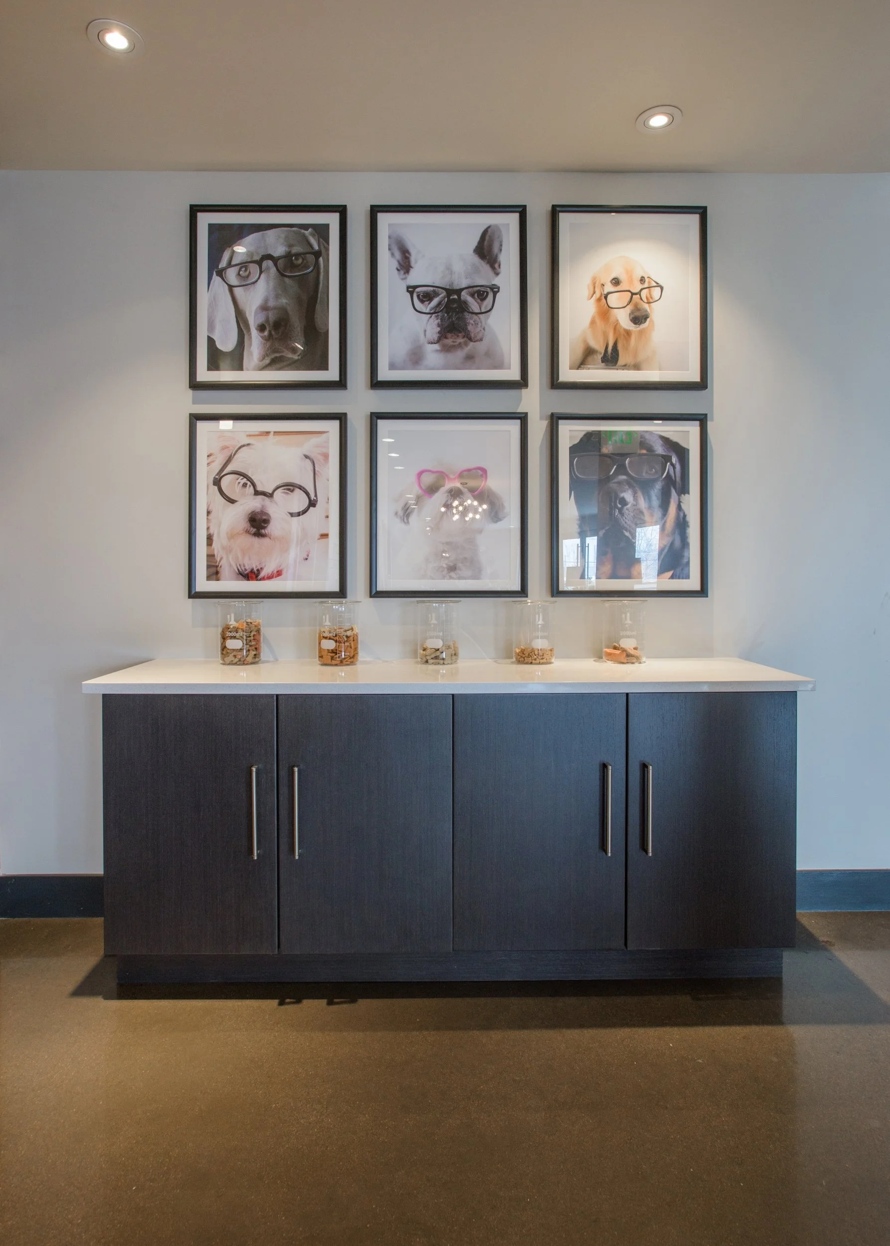 Wall with six framed portraits of dogs wearing glasses, displayed above a black cabinet with glass containers of snacks.