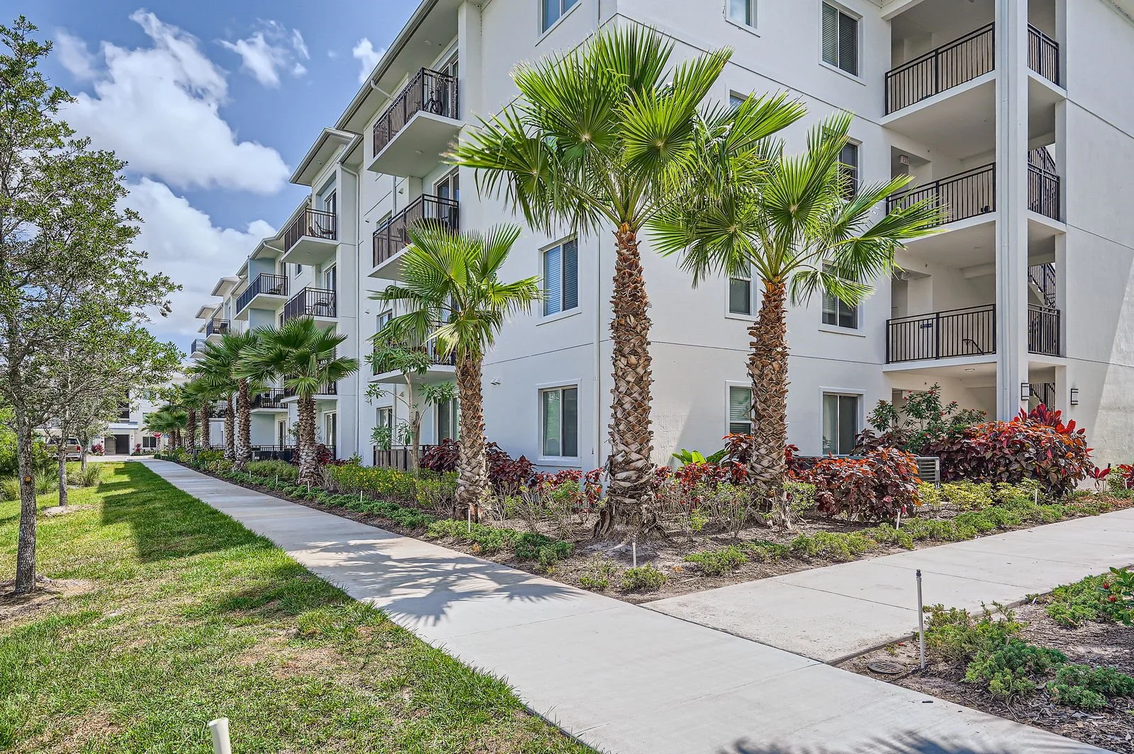 A modern white multi-story apartment building with balconies and sliding glass doors, surrounded by landscaped greenery including palm trees, shrubs, and a sidewalk.