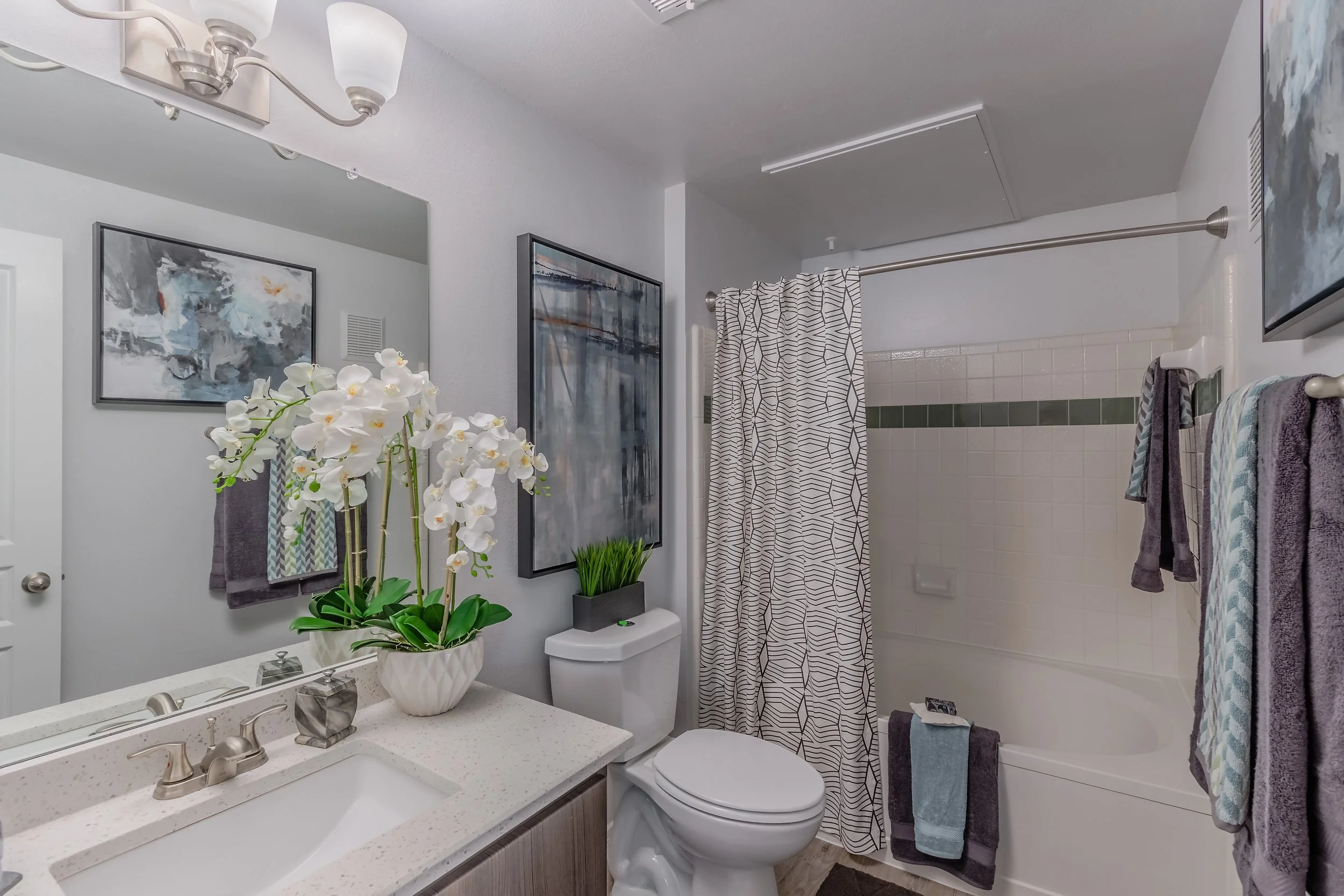 Modern bathroom with a vanity mirror, a potted orchid plant, abstract art on the wall, a toilet, a bathtub with a geometric shower curtain, and towels hanging on the wall.