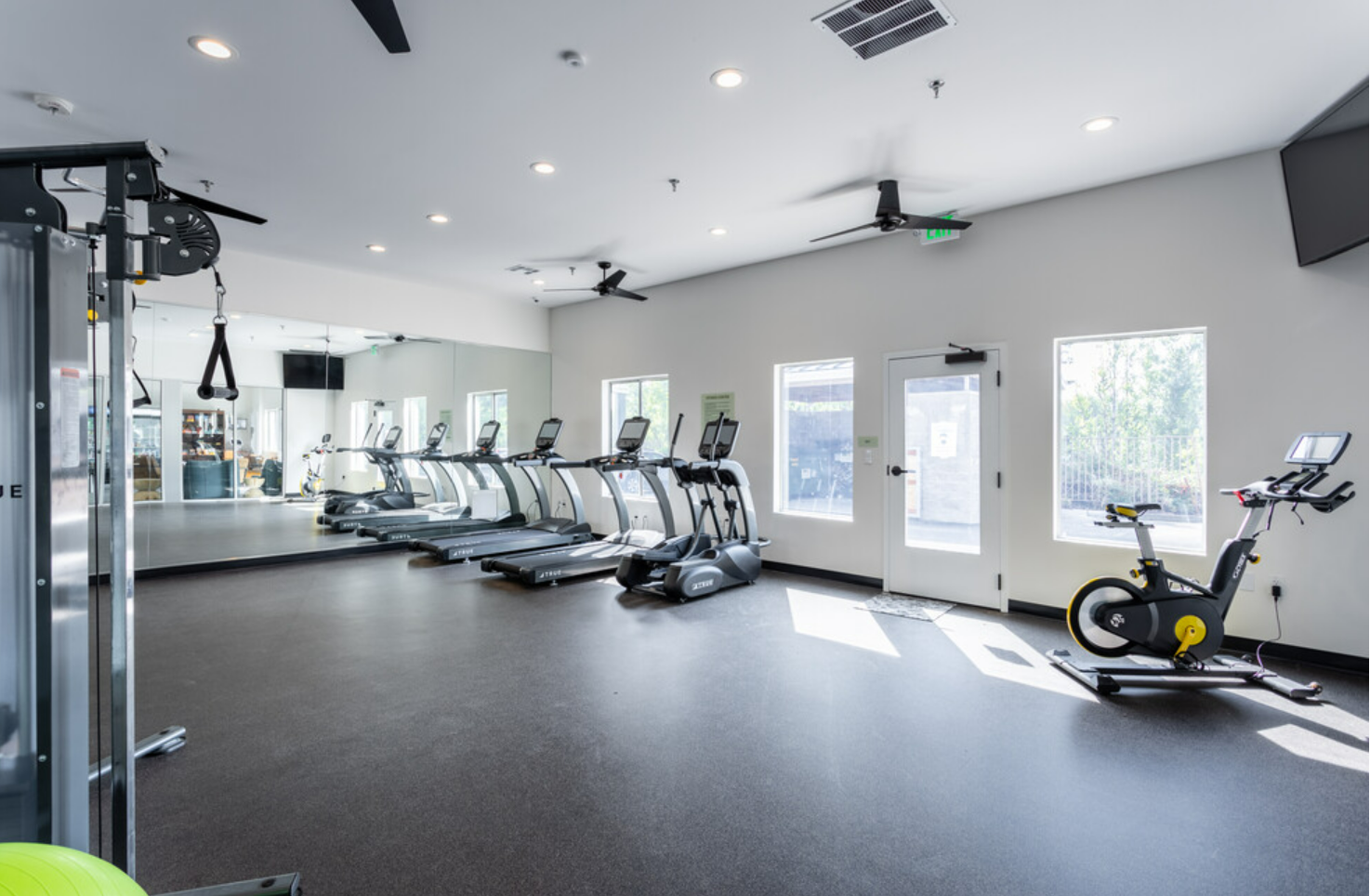 Empty gym with treadmill and stationary bike near windows, wall mirror, and exercise equipment, sunlight coming through windows.