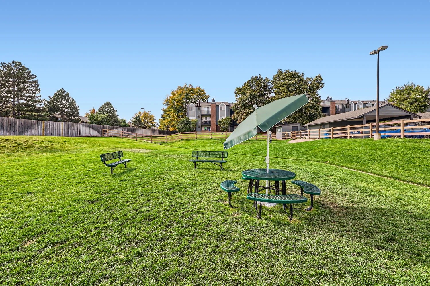 A grassy park area with two benches, a table with an umbrella, and a tall lamp post. In the background, there are residential buildings, trees, and a wooden fence.