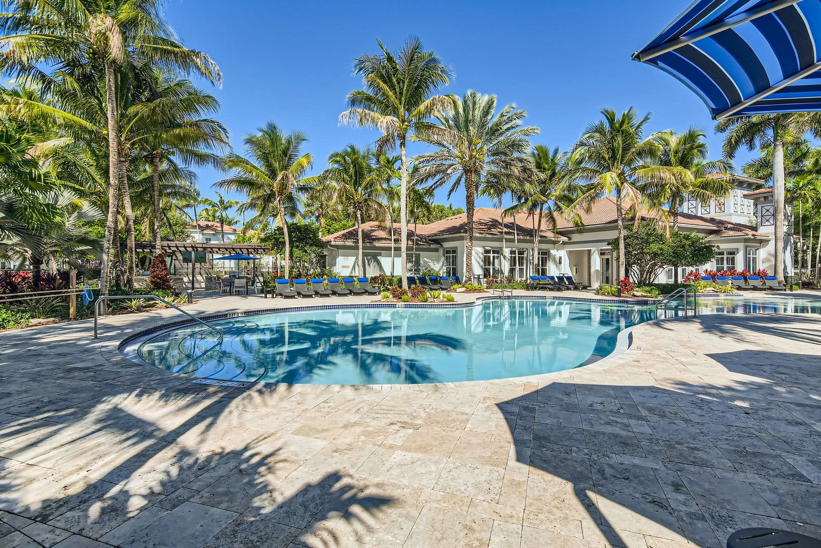 A swimming pool surrounded by palm trees and lounge chairs in a tropical resort setting.