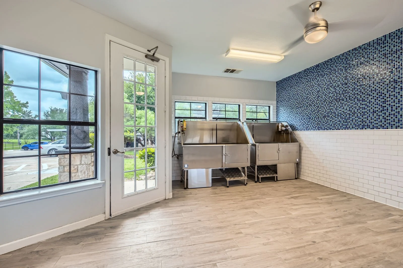 Indoor area with stainless steel pet washing stations near a glass door and large windows, with a blue mosaic tile wall and wooden flooring.