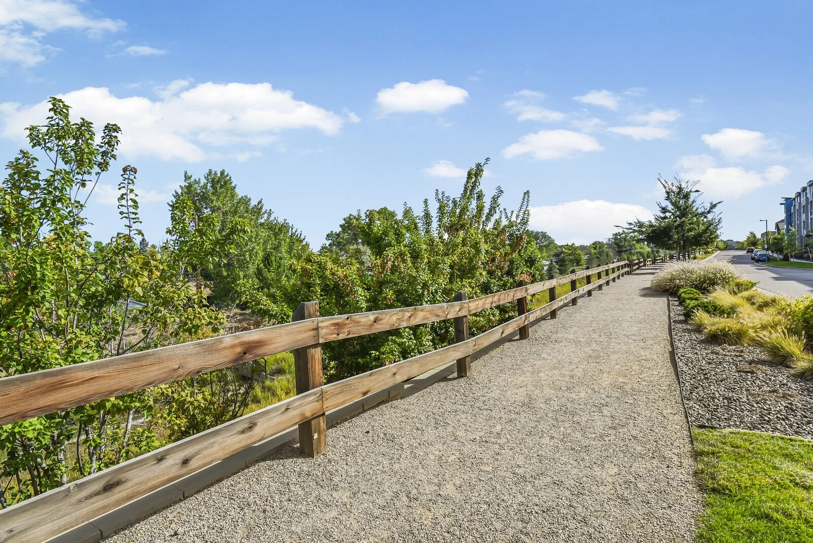 A paved walking path beside a wooden fence with bushes and trees, alongside a street with parked cars and modern buildings in the background.