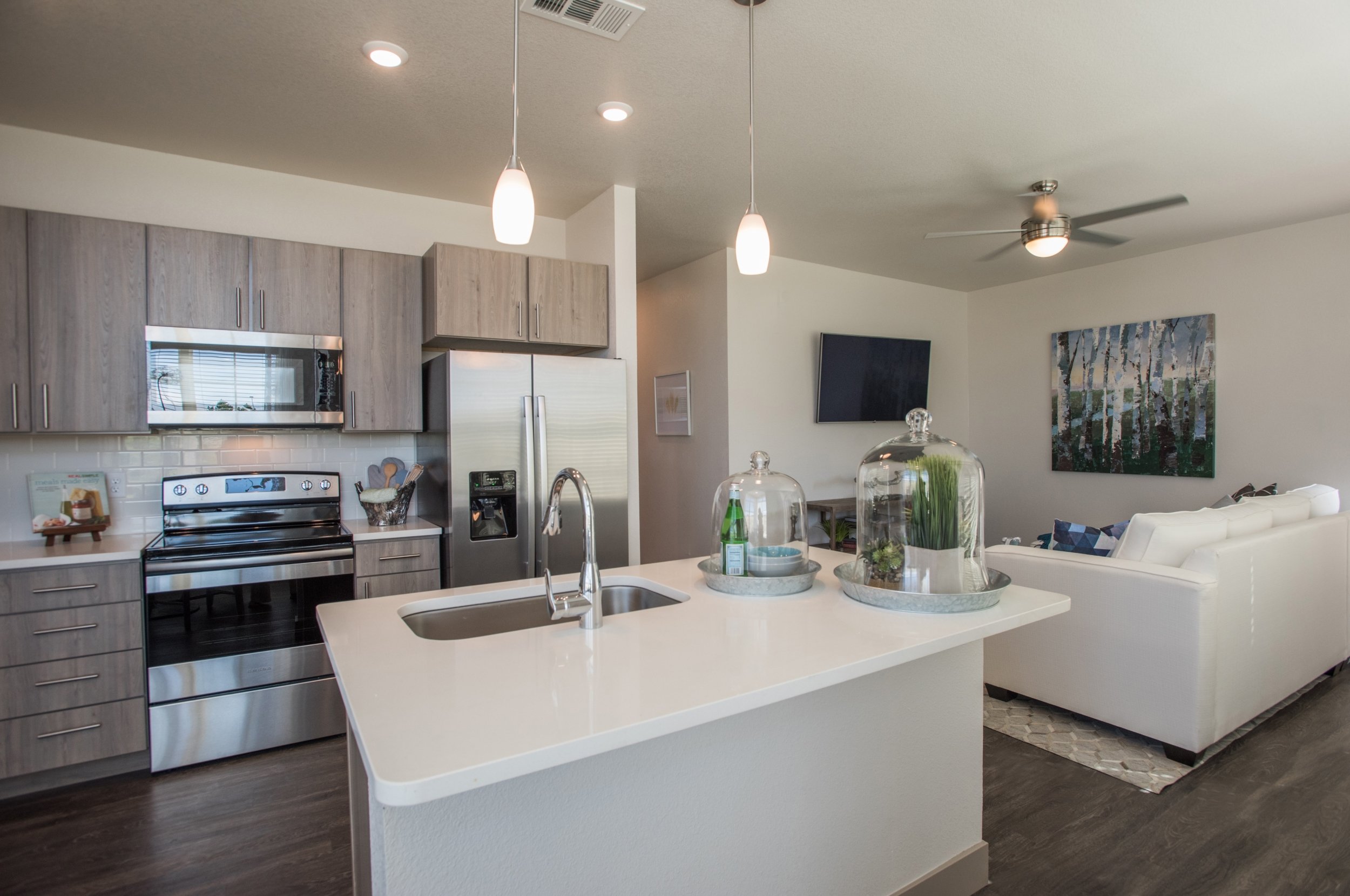 Open-concept kitchen and living room with gray cabinets, stainless steel appliances, white countertop island with decor plants and bottles, white sofa, and wall-mounted TV, in a modern apartment.