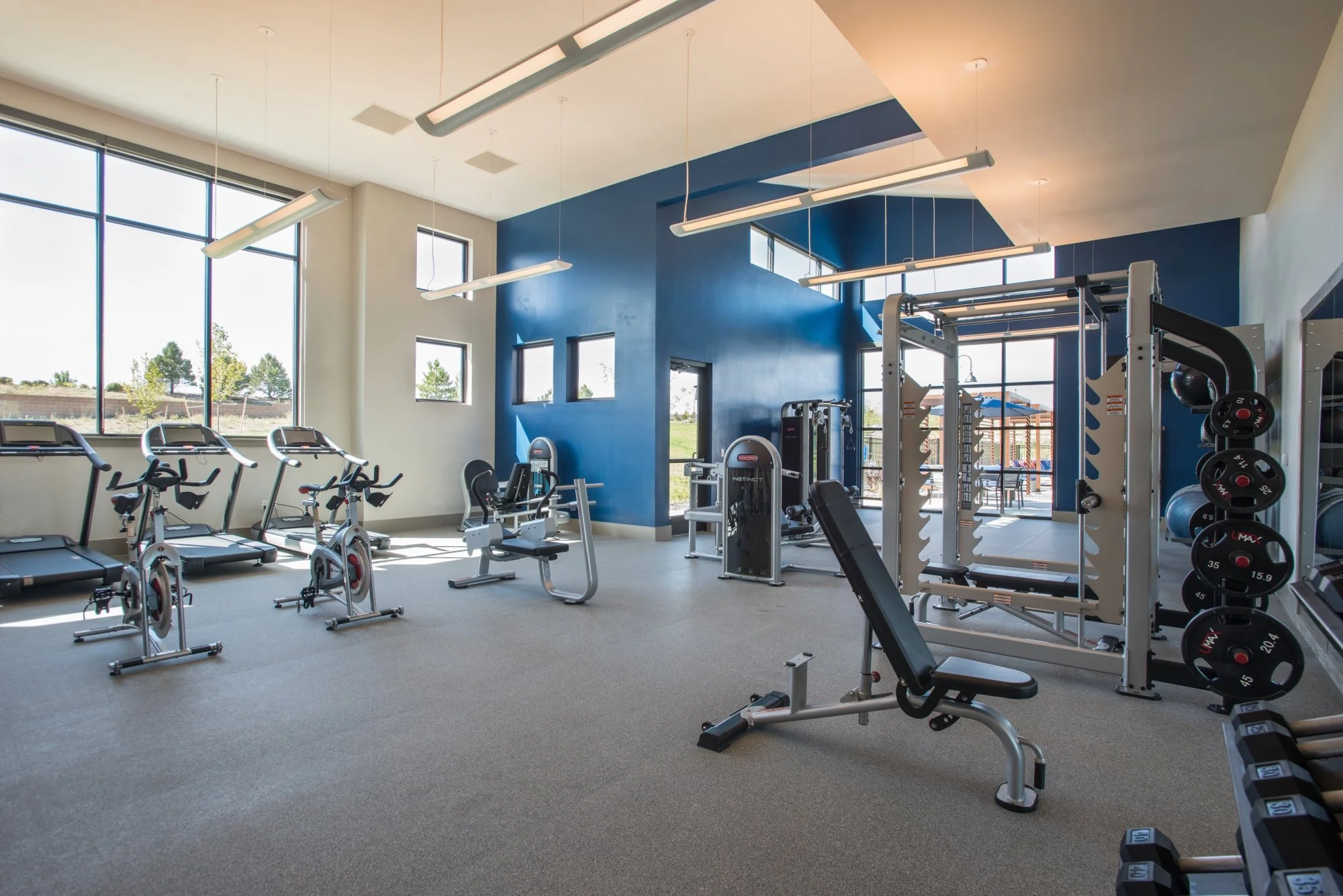 Empty modern gym with cardio and weightlifting equipment, large windows, and blue and white walls.