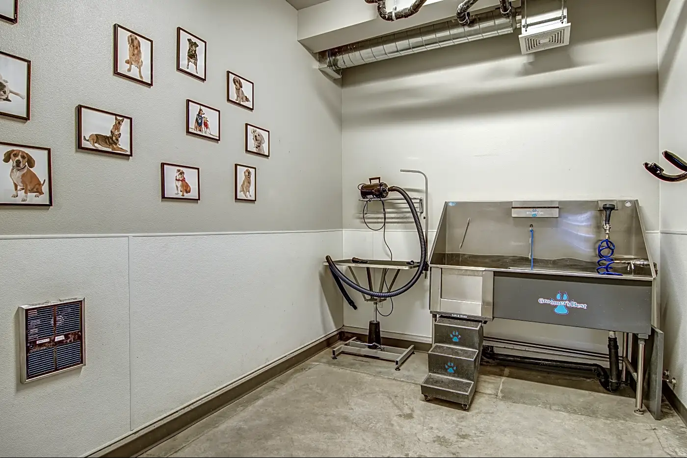 Dog grooming station with a stainless steel sink, grooming tools, and framed pictures of dogs on the wall.