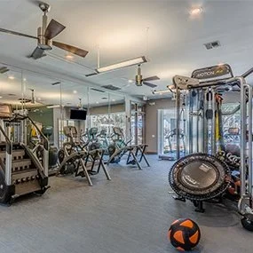 Empty gym with workout equipment, including treadmills, weight machines, and a medicine ball, in a well-lit space with mirrors and large windows.