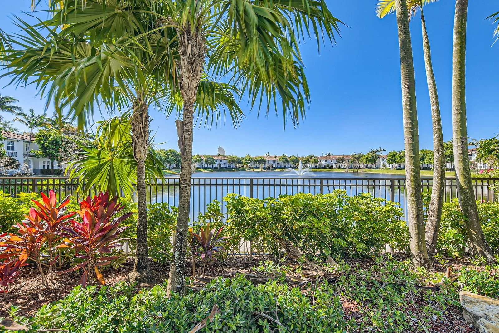 Tropical trees and bushes with a view of a lake, fountain, and residential buildings in the background under a blue sky.