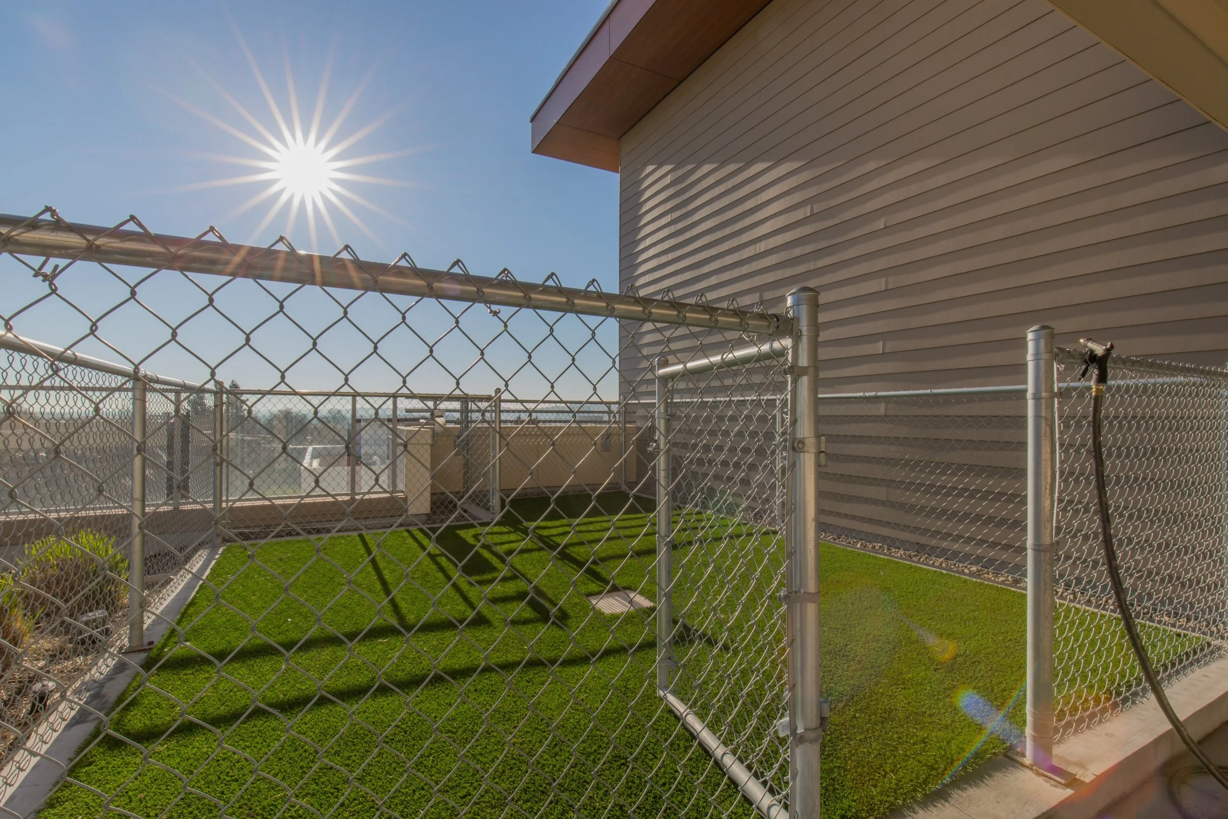 Rooftop area with green grass, surrounded by silver chain-link fence, under bright sunny sky, next to a building with beige siding.