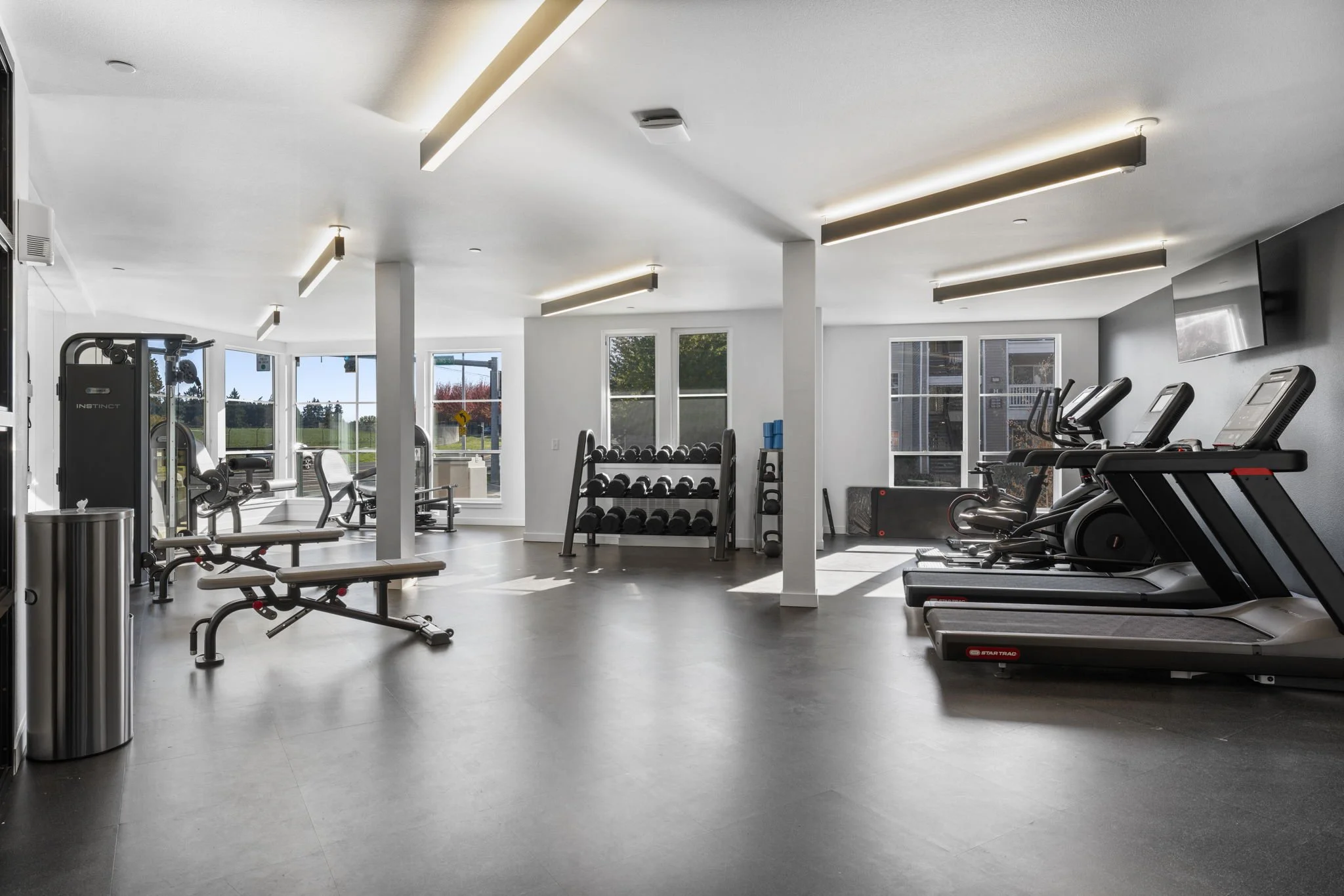 A modern gym with treadmills, weightlifting equipment, dumbbells, and large windows letting in natural light.