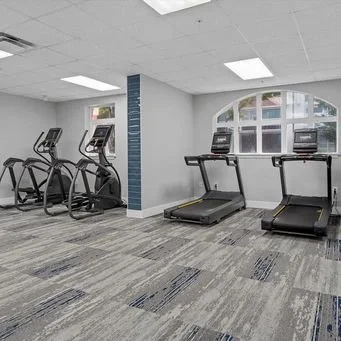 Empty gym with two treadmills, two elliptical machines, and a large arched window.