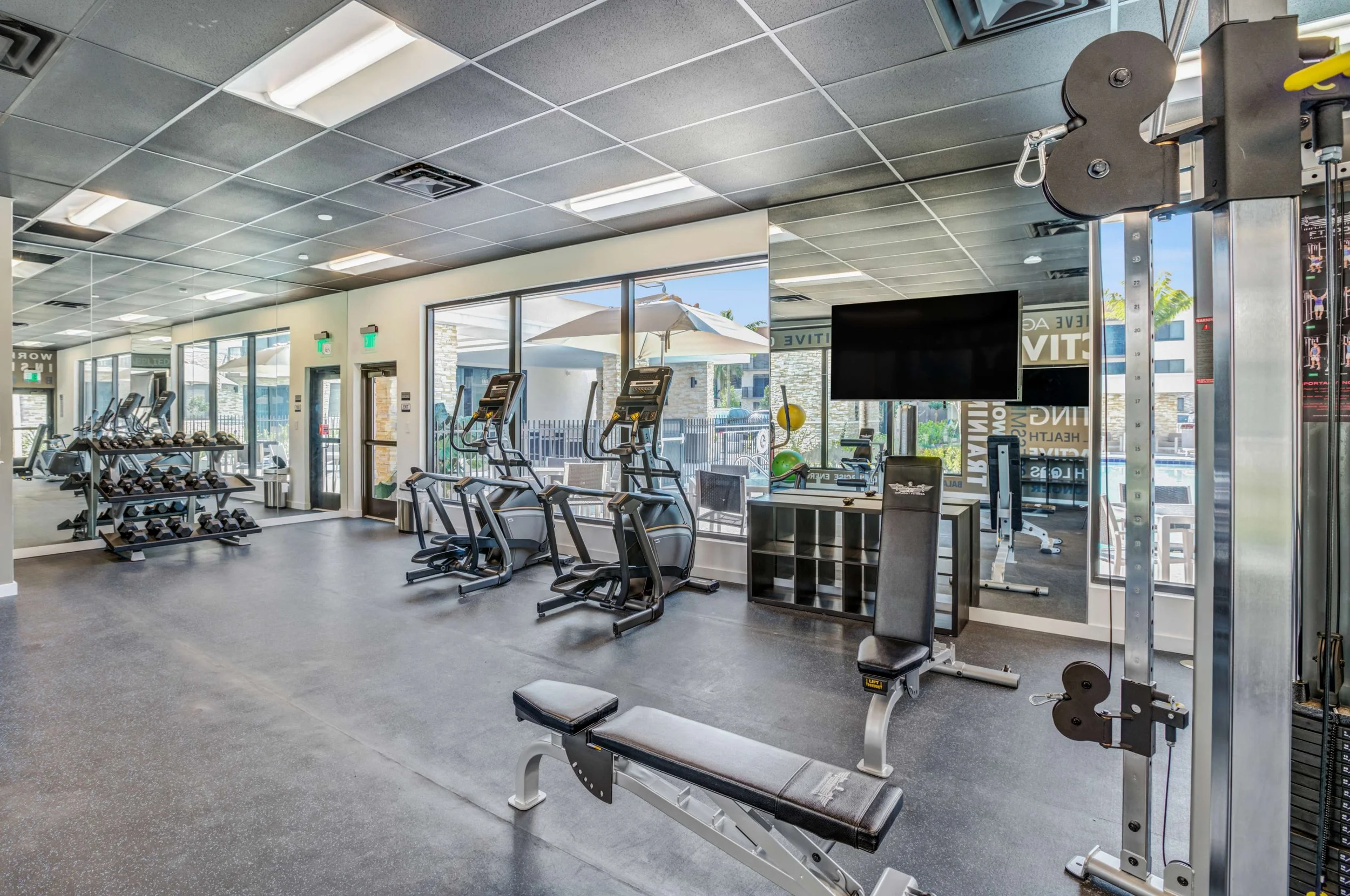 Modern gym with cardio machines, free weights, and strength training equipment, bright natural light through large windows, and a flat-screen TV.