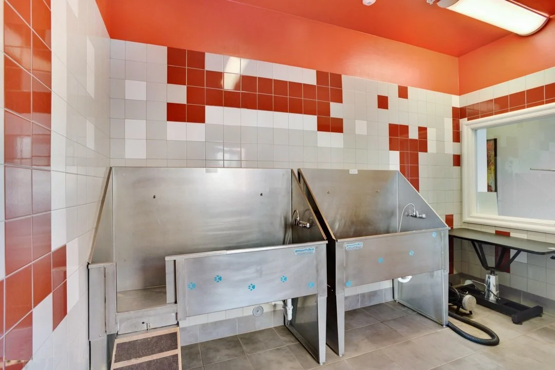 Two stainless steel pet washing stations with faucets in a tiled room with red and white walls, and a window.