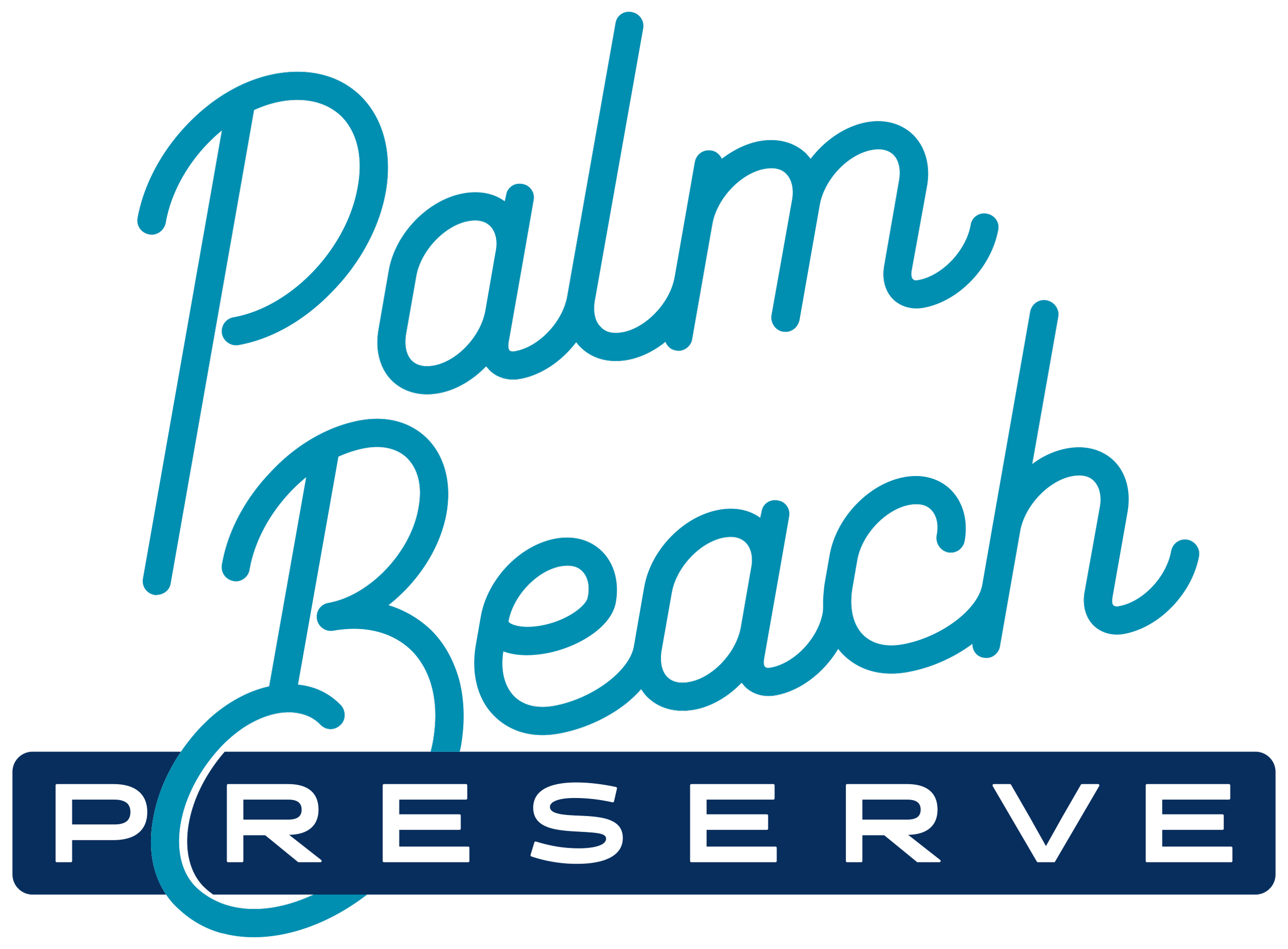 The logo of Panama Beach Preserve featuring the words "Panama Beach" in blue cursive script and "PRESERVE" in white capital letters on a navy blue background.