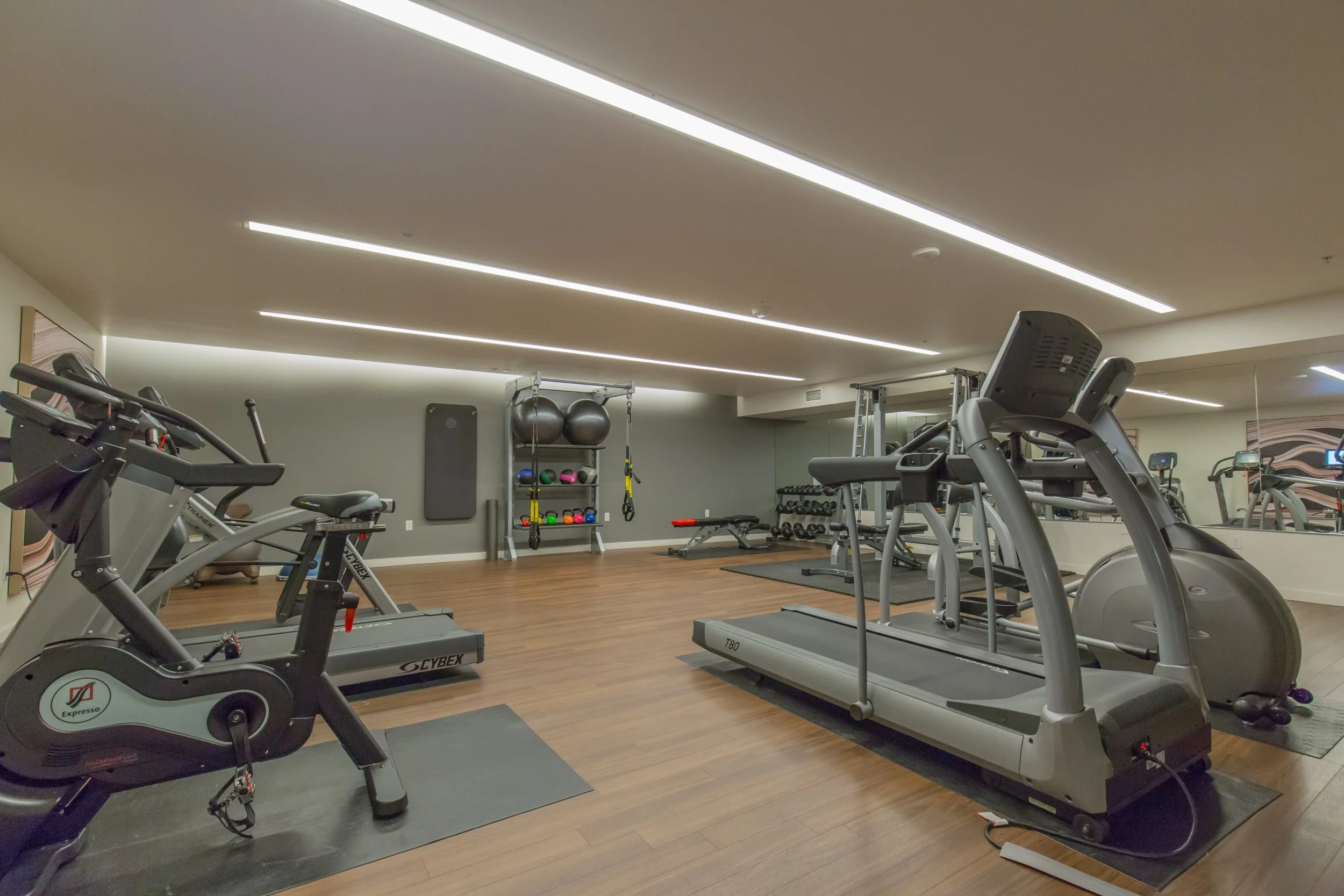 Indoor gym with treadmills, stationary bike, weights, stability balls, hanging TRX straps, and a mirror on the wall.