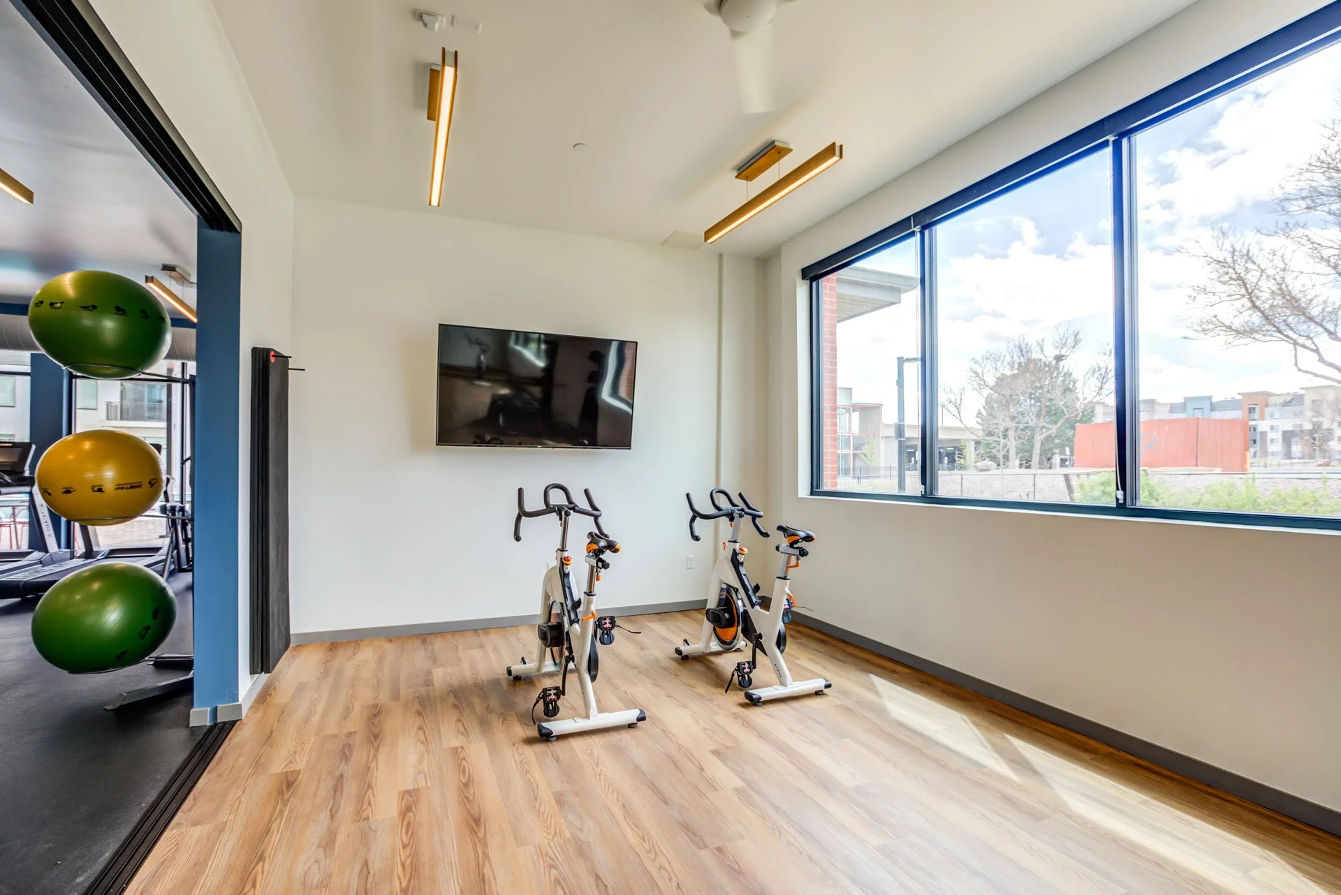A modern gym room with two stationary bikes, a flat-screen TV mounted on the wall, large windows with a view of trees and buildings, and a wall with colorful exercise balls.