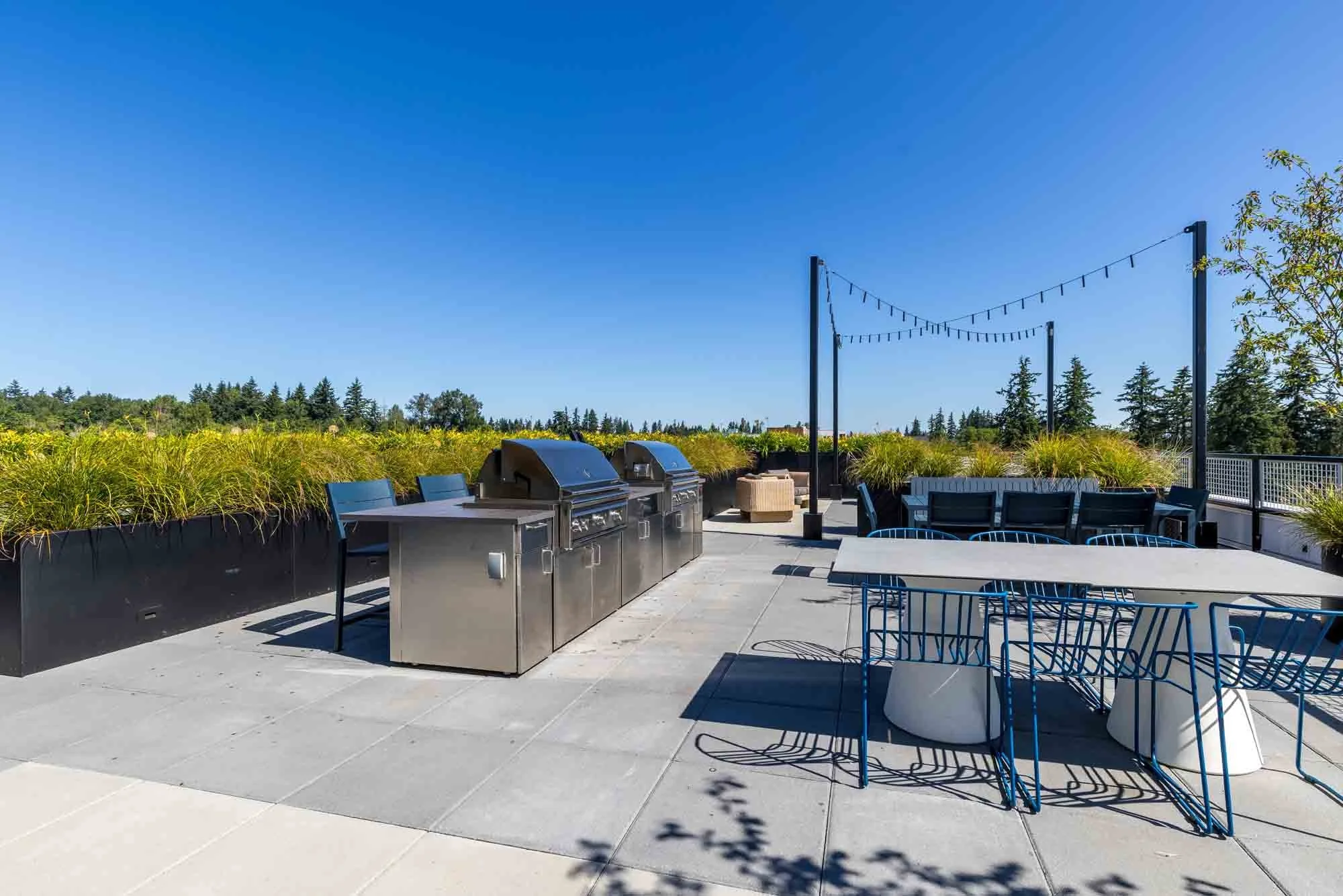 Rooftop patio with outdoor grill, modern furniture, string lights, and landscaped greenery under a clear blue sky.