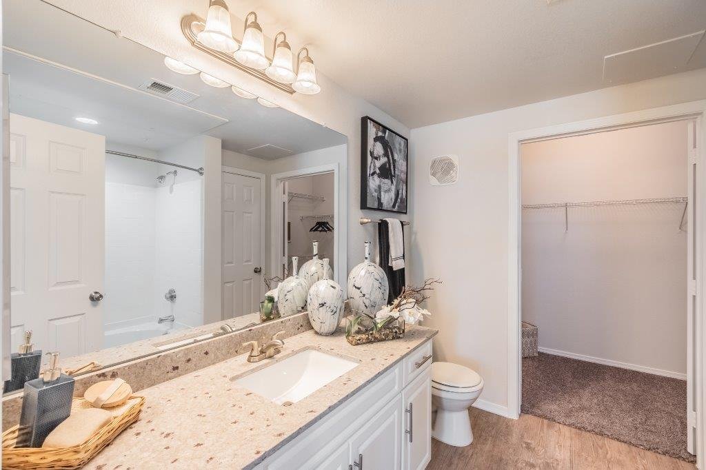 Bathroom with a sink, large mirror, and decorative vases on the countertop, an enclosed shower/bathtub, a toilet, and a walk-in closet with a wire shelf.