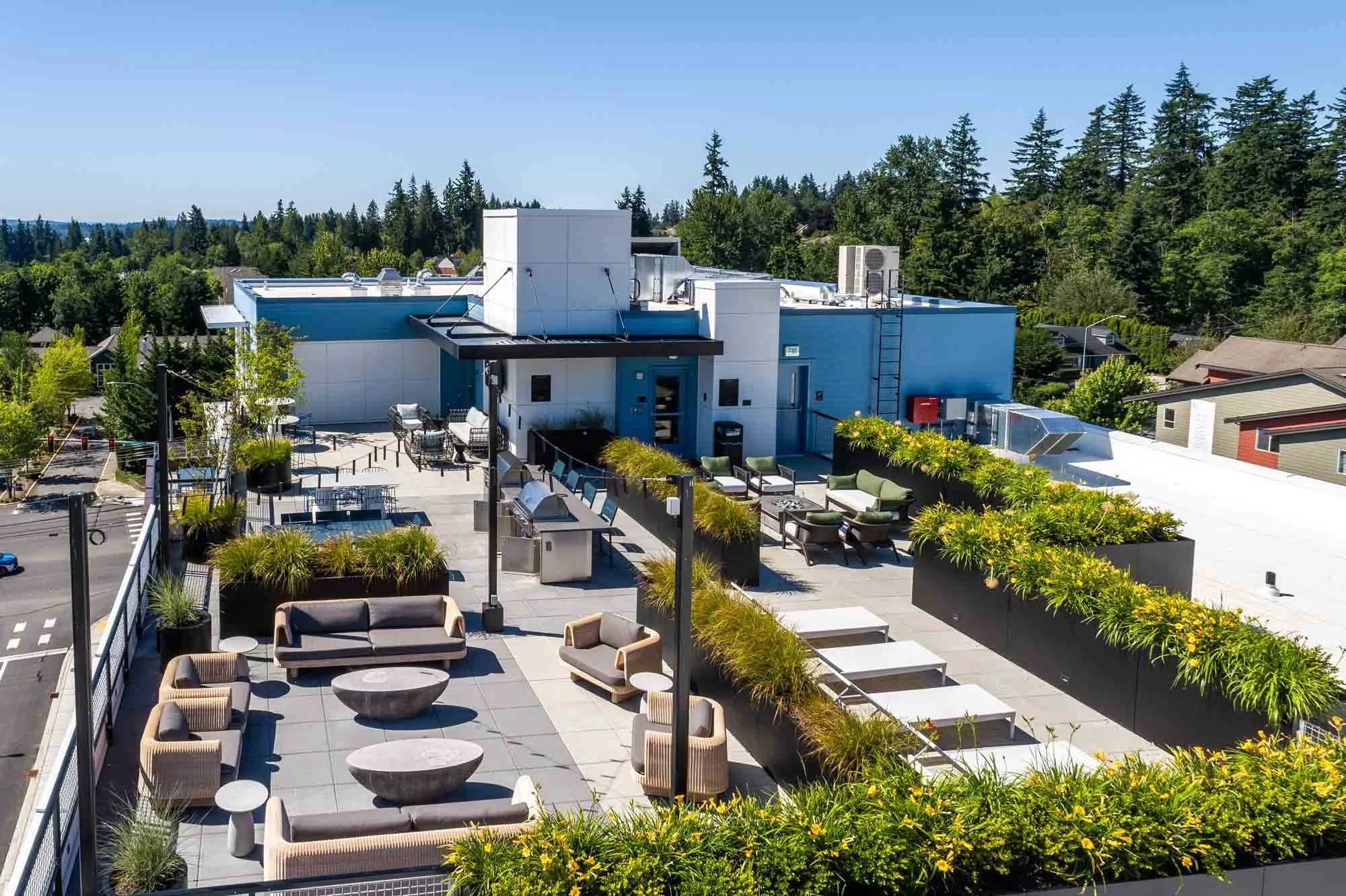 Rooftop terrace with outdoor seating, potted plants, grills, and lounge areas, overlooking a neighborhood with trees and houses under a clear blue sky.