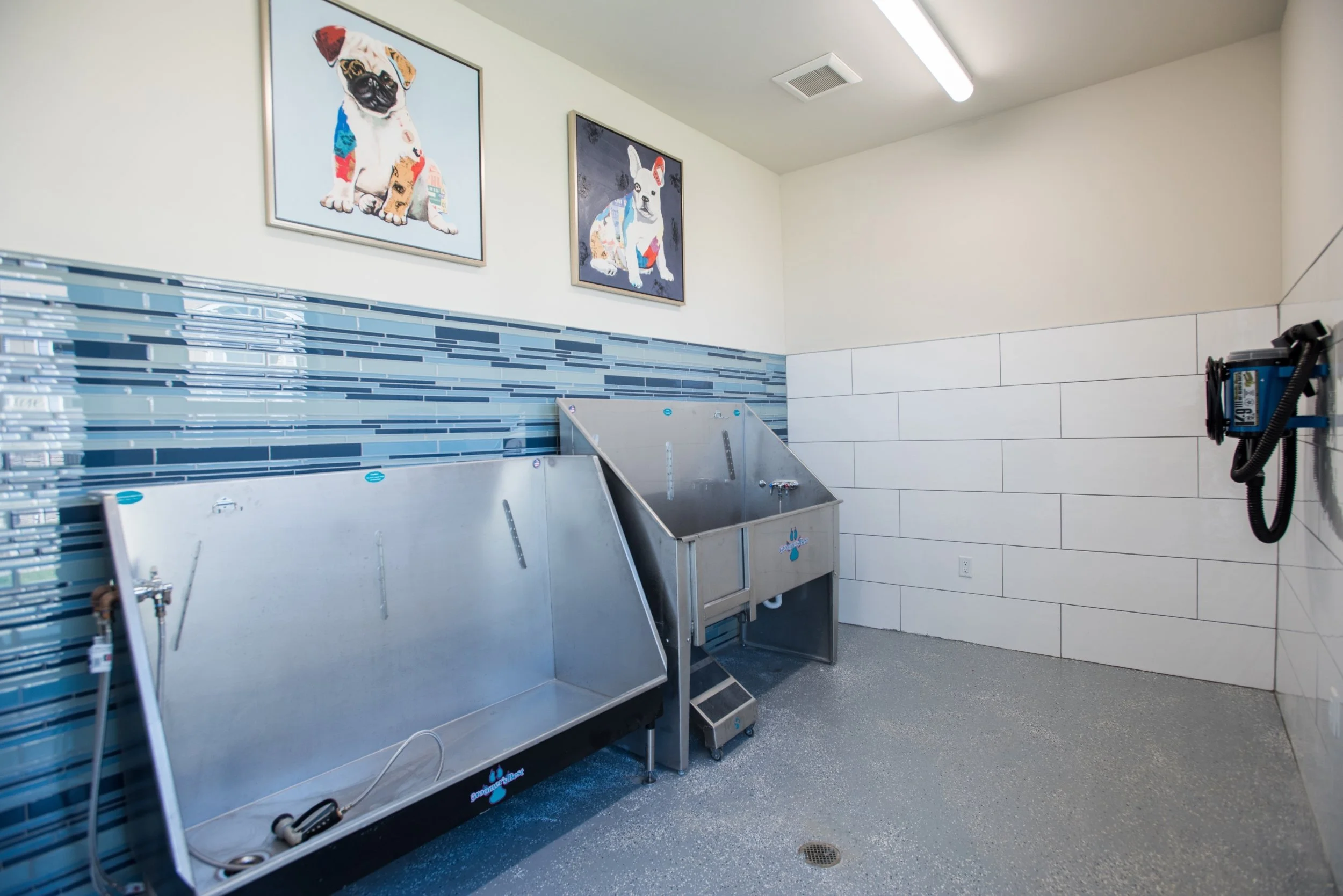 Spa or veterinary grooming room with two stainless steel wash basins, one with a drain and a step stool. The room has a blue and white tiled wall decoration, two framed dog pictures on the wall, and a wall-mounted air dryer or vacuum cleaner on the r