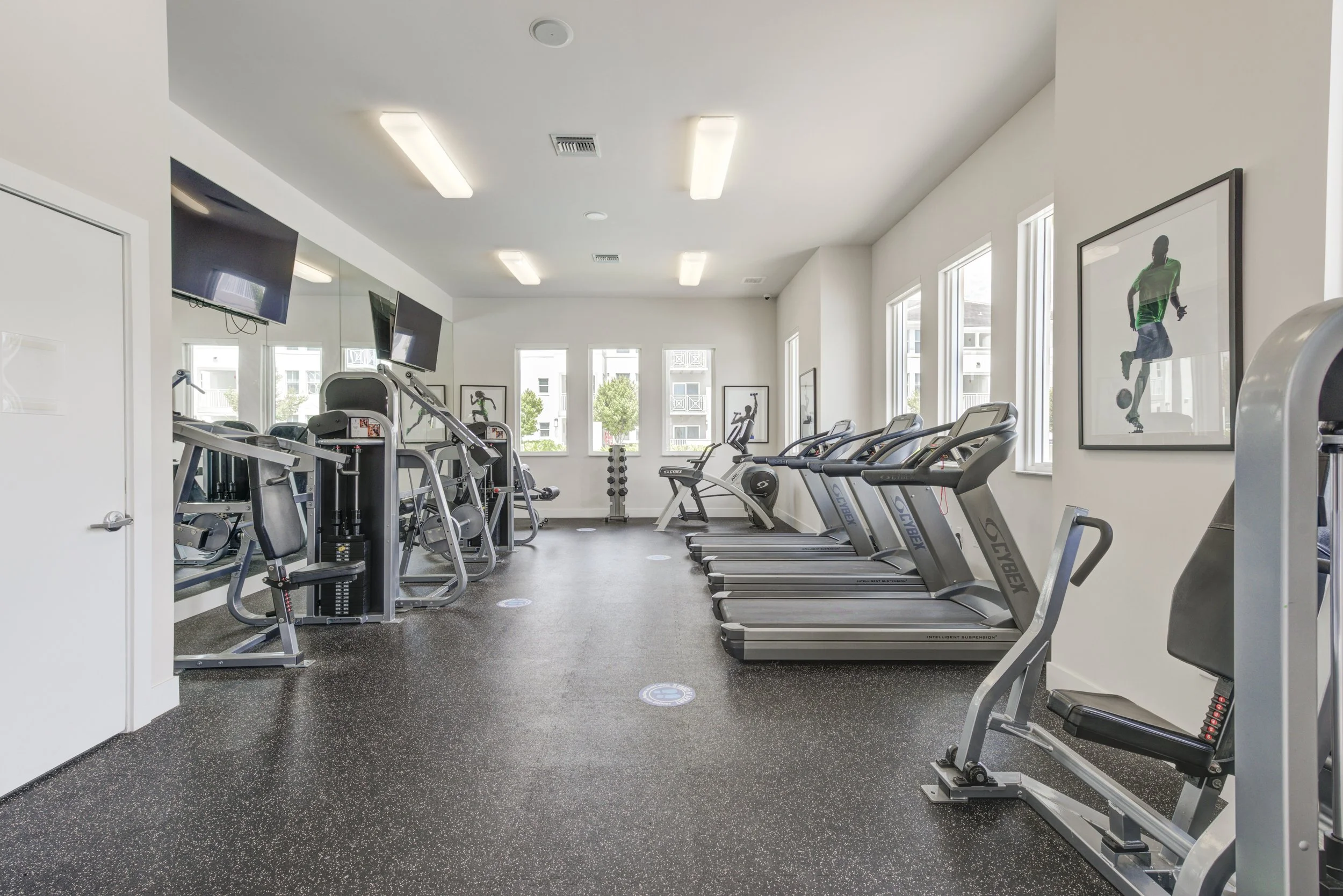 A modern gym with sunlight coming through multiple windows. Contains treadmills, exercise bikes, weight machines, and framed sports art on the walls.