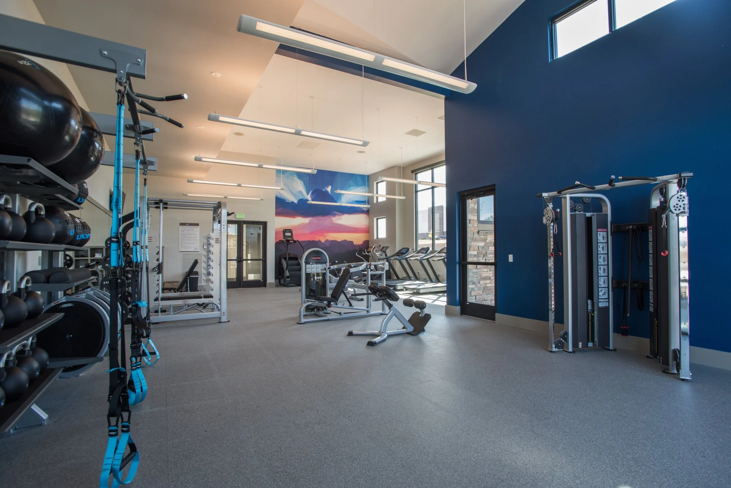 Empty modern gym with various workout equipment, including weight racks, exercise machines, and cardio equipment, with natural light from windows and a scenic mountain mural on the back wall.
