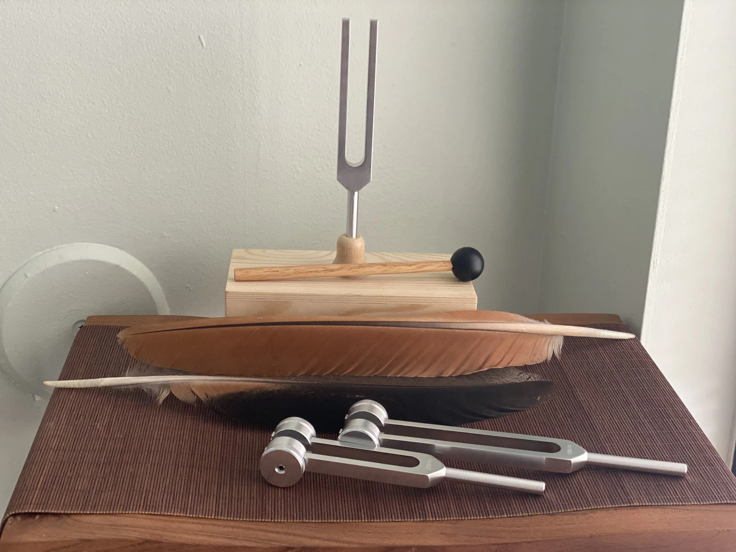 A wooden table with two large feathers, a small wooden block, a tuning fork, a wooden stick, and two metal calipers on top of a brown cloth. In the background, there is a plain light-colored wall.