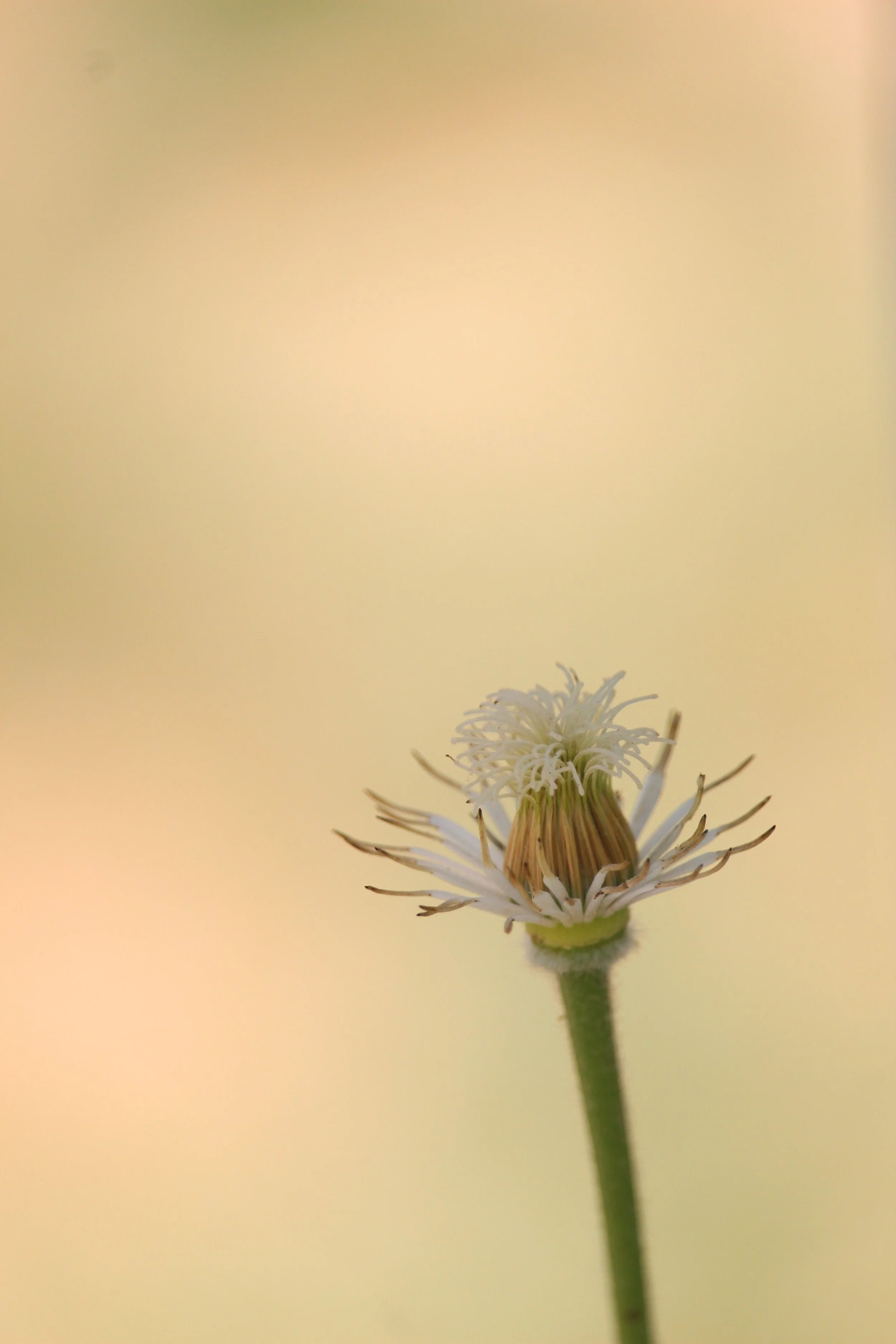 IMG_9620.jpeg