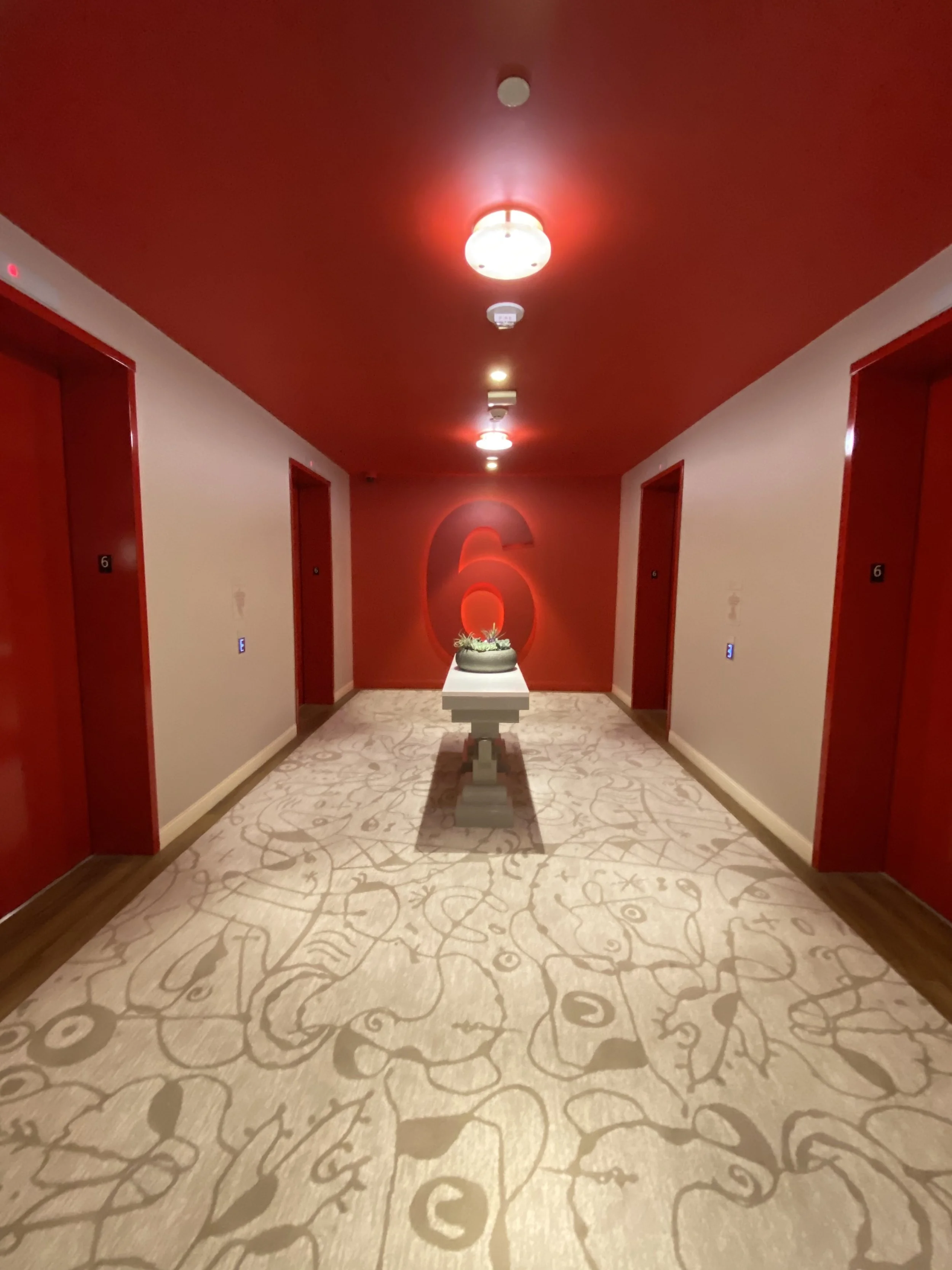 Photo Oct 05 2020, 12 47 02 PM.jpg