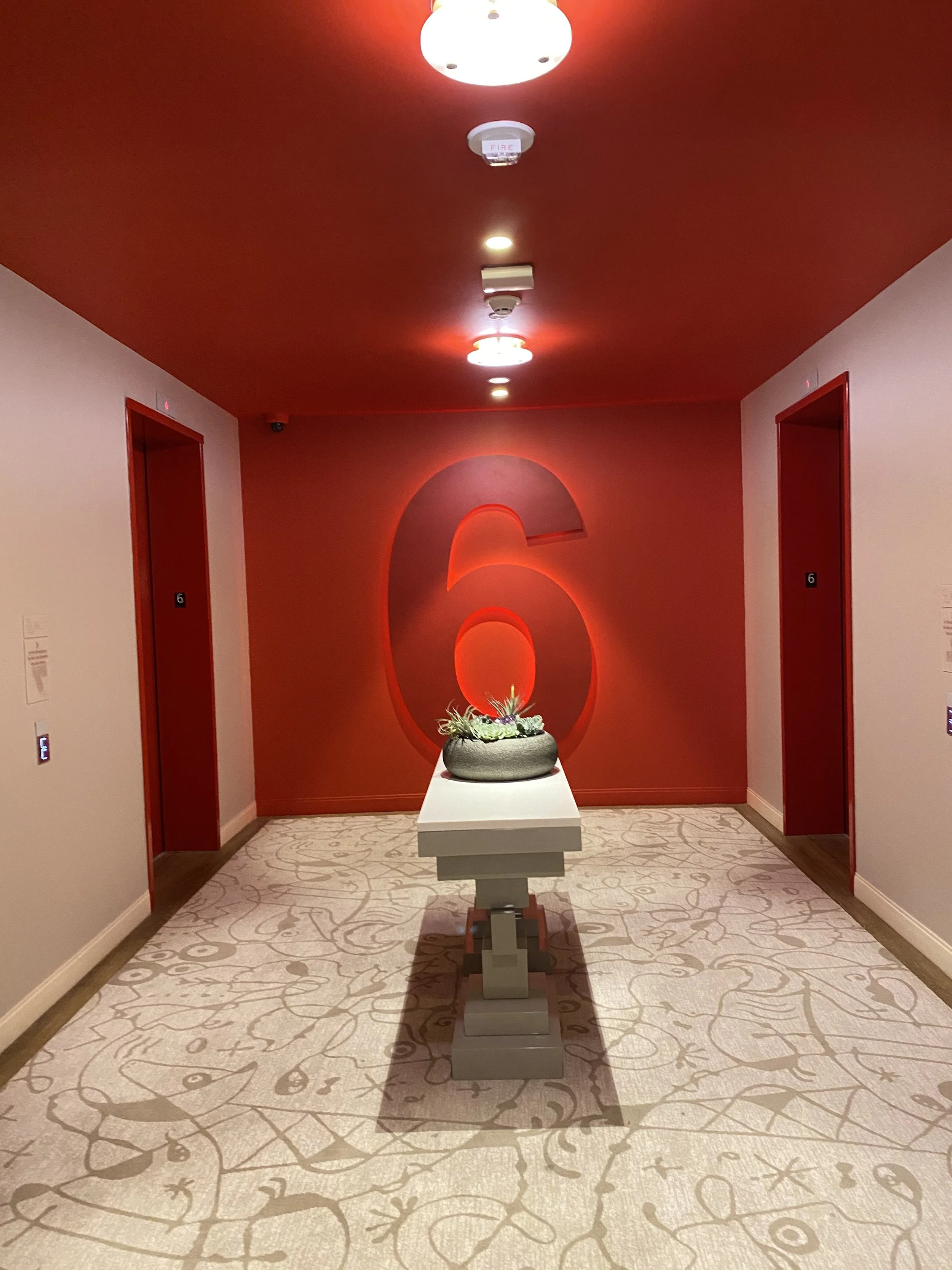 Photo Oct 05 2020, 12 46 57 PM.jpg