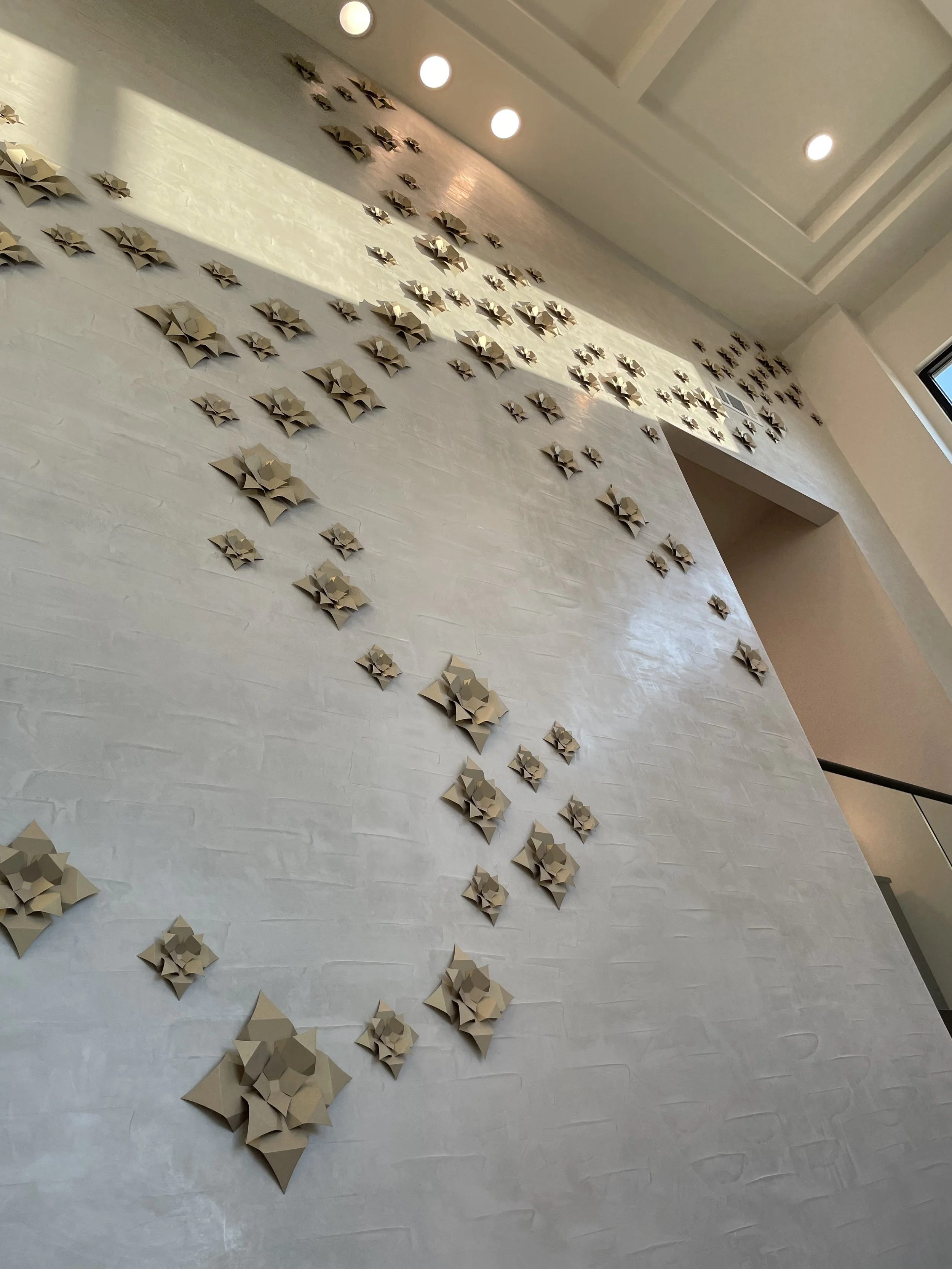 Photo Feb 09 2023, 5 18 27 PM.jpg