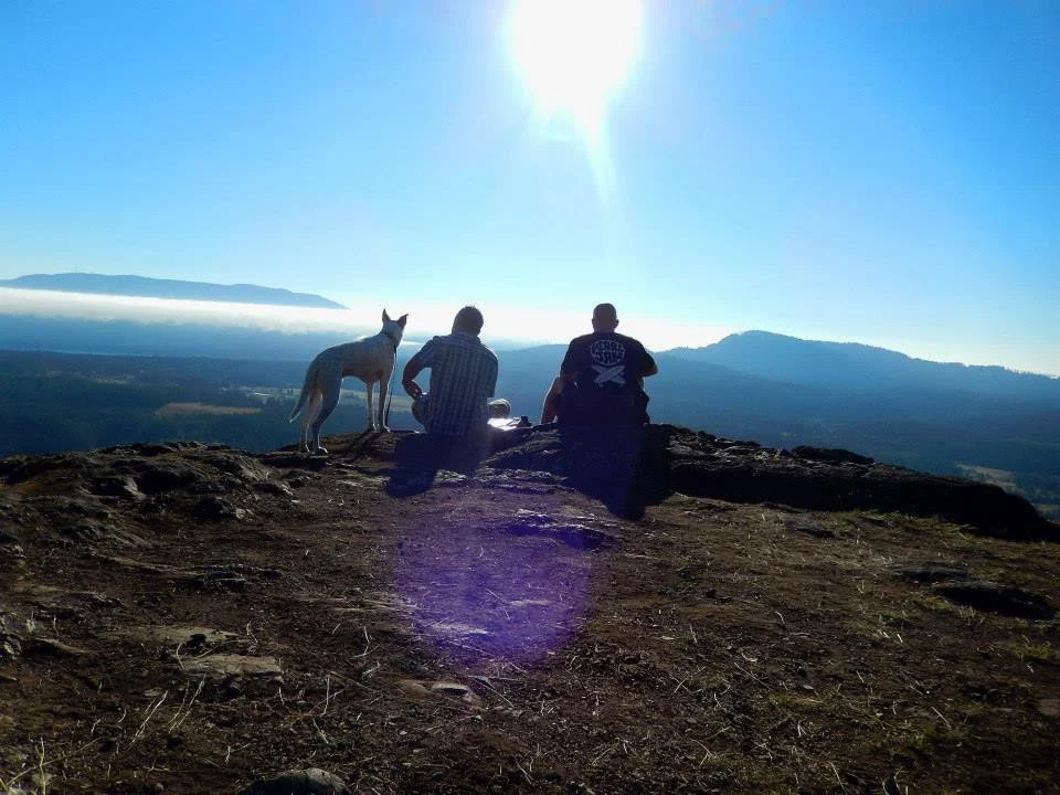 From behind silhouettes of two people sitting and a dog standing on a mountain in the morning sun with hills in the background and low fog
