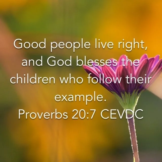 Happy Sunday!