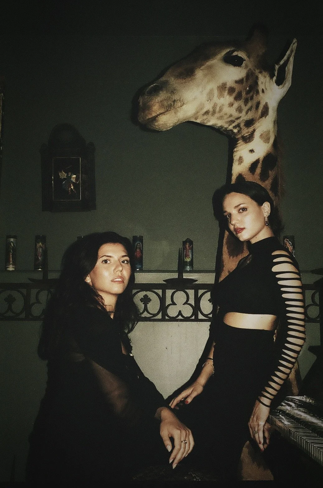 Elsewhere Giraffe 2.JPG