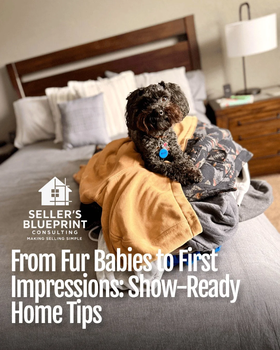 Keeping your home show-ready while living with pets can feel like a challenge&mdash;but it's doable with the right approach:

Control Pet Odors
 &bull;  Use enzyme-based cleaners on carpets &amp; soft surfaces
 &bull;  Wash pet bedding regularly
 &bu