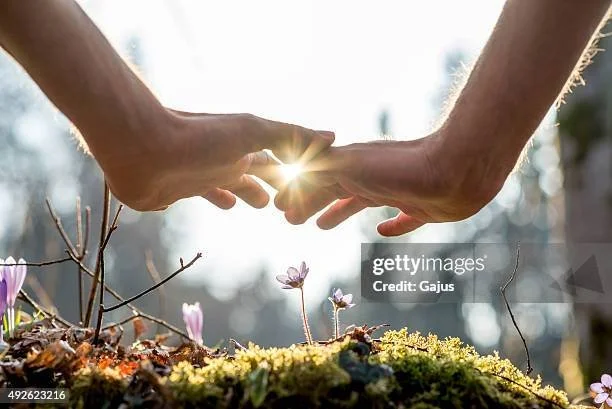 Two hands touching with sunlight shining between their fingers over blooming flowers and moss on the ground.