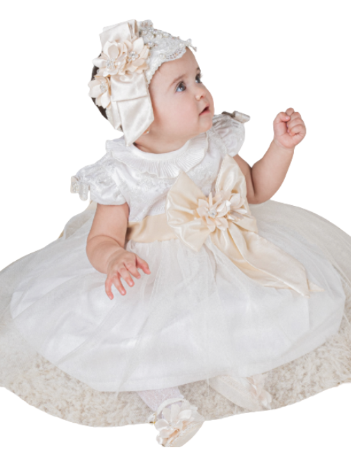 Captura de pantalla 2025-10-15 a la(s) 3.51.32 p.m..png