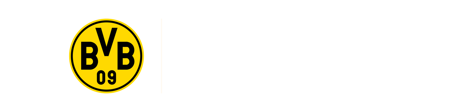 FIFA Rivals x BVB