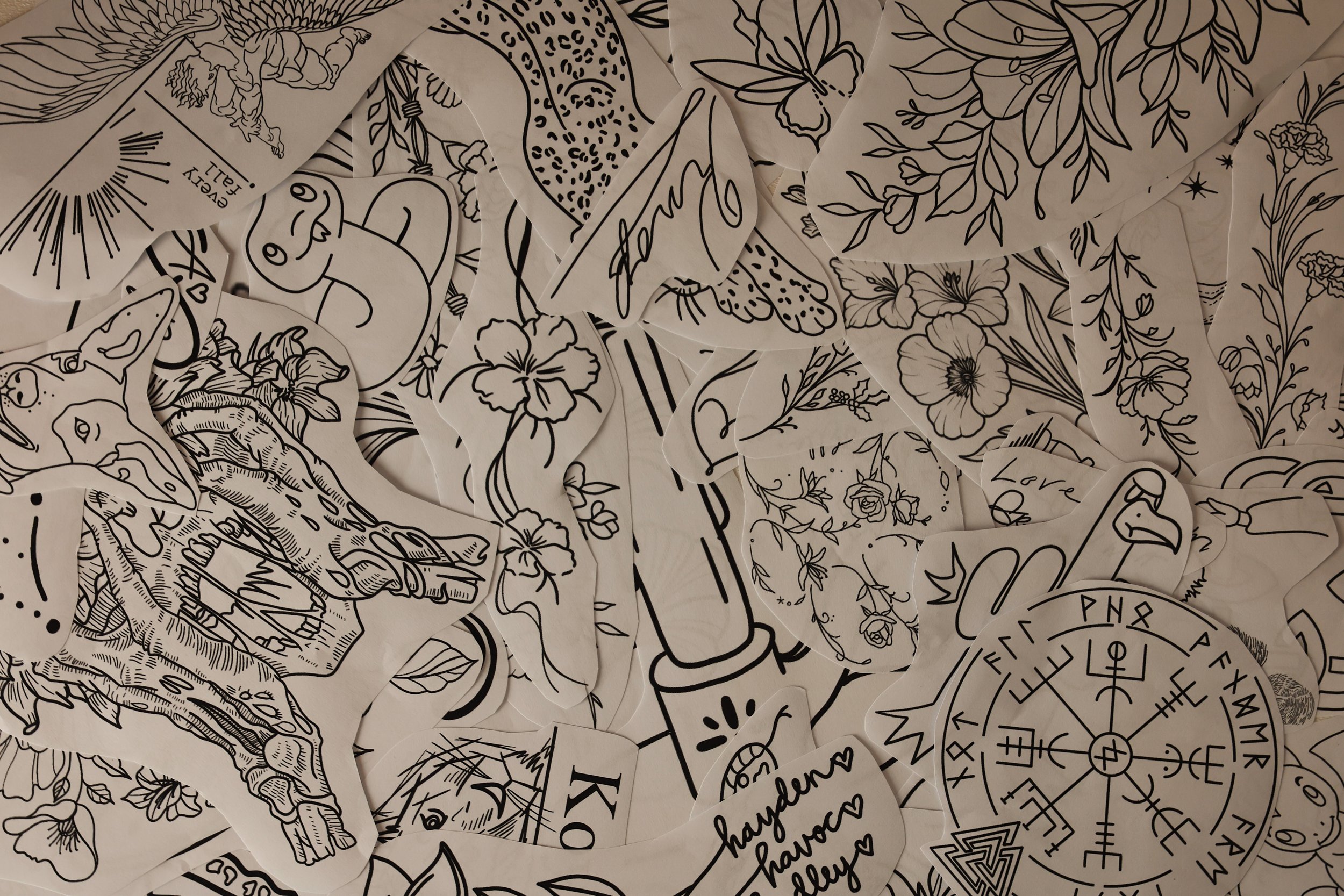 3A003686-8711-488D-A5A3-D821D5112298 2.jpeg