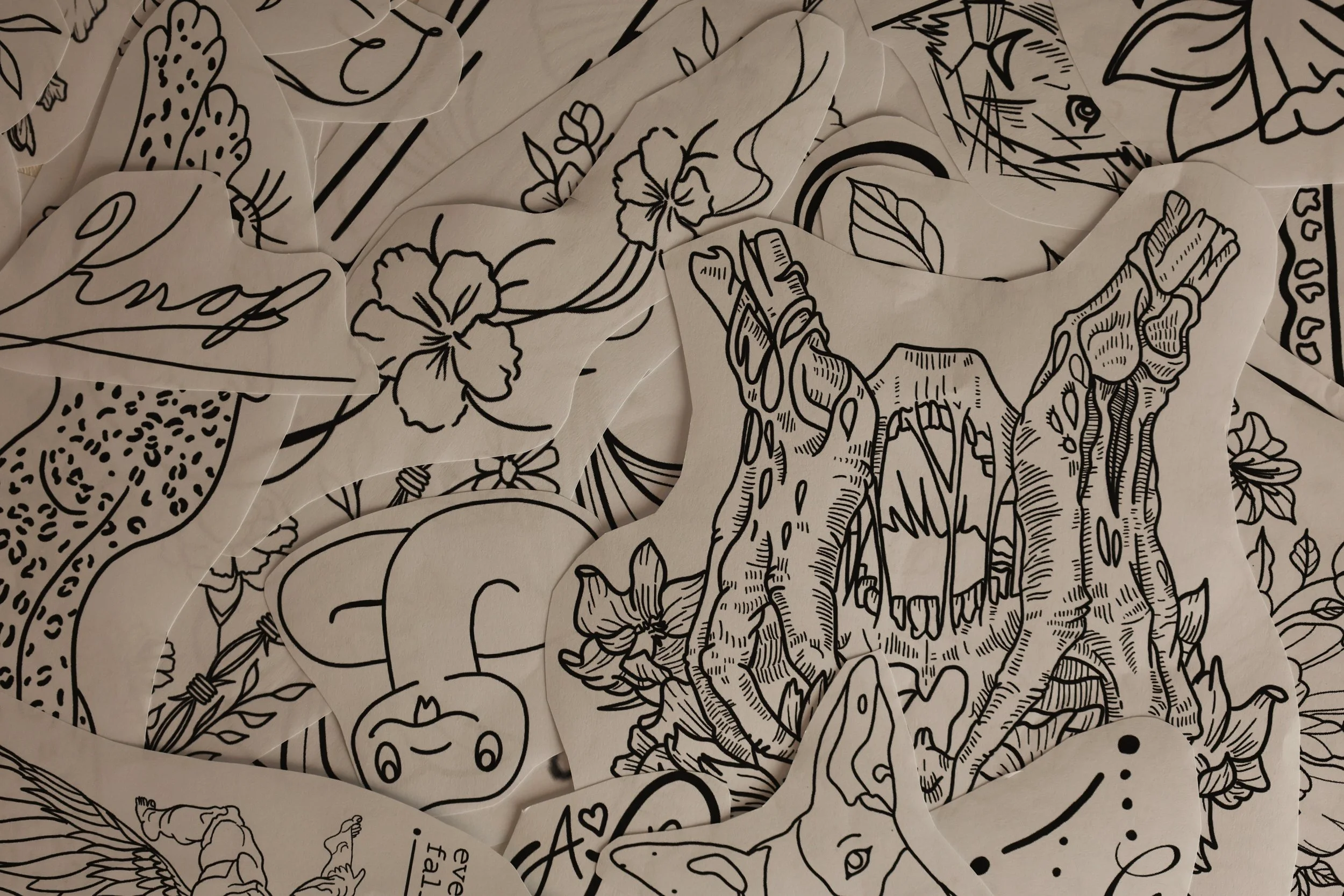 986829C1-E018-40CC-BE46-BECD20F64DB7 2.jpeg